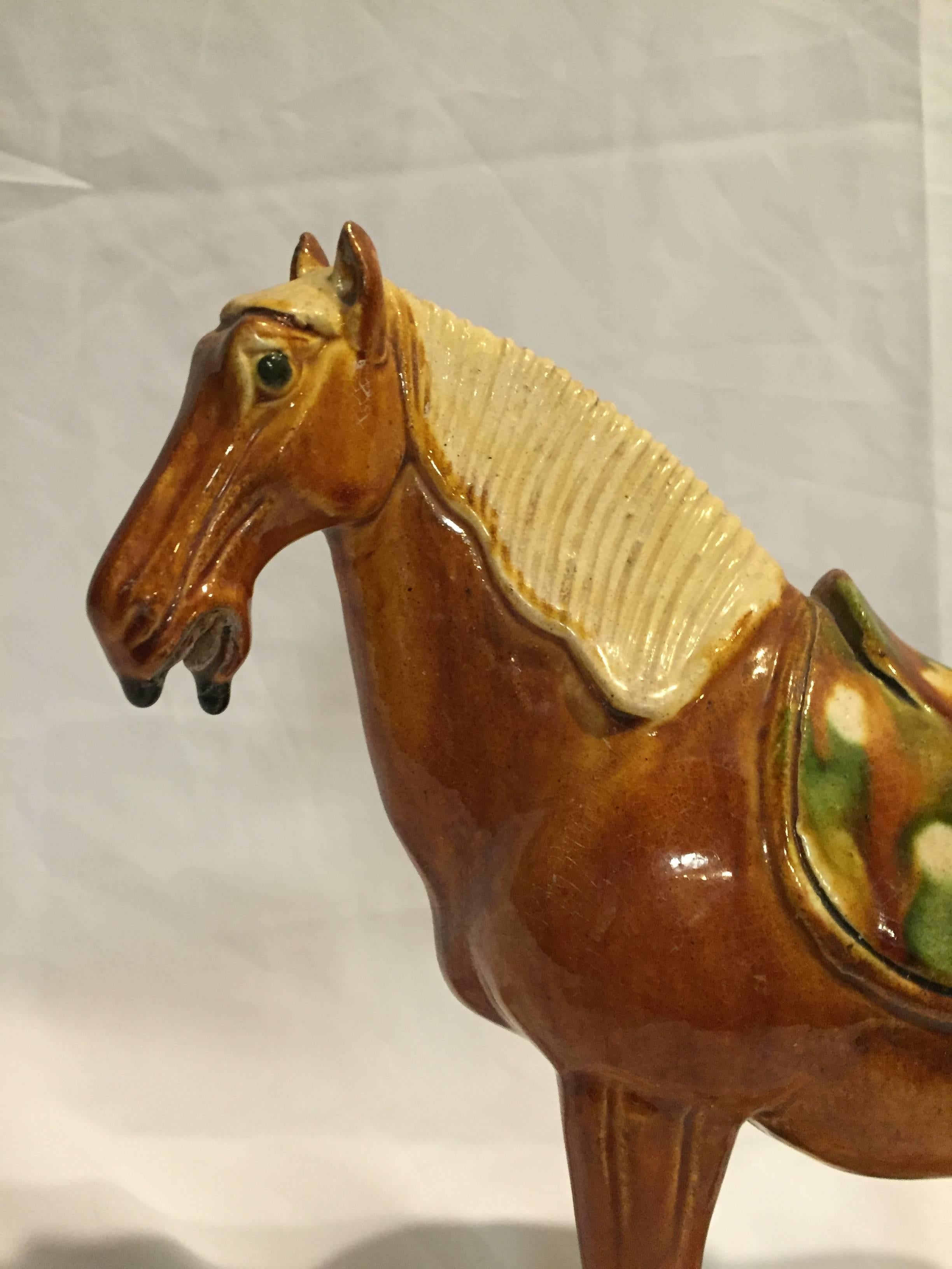 Pair of Chinese Tang San Cai Terracotta Horses For Sale 2