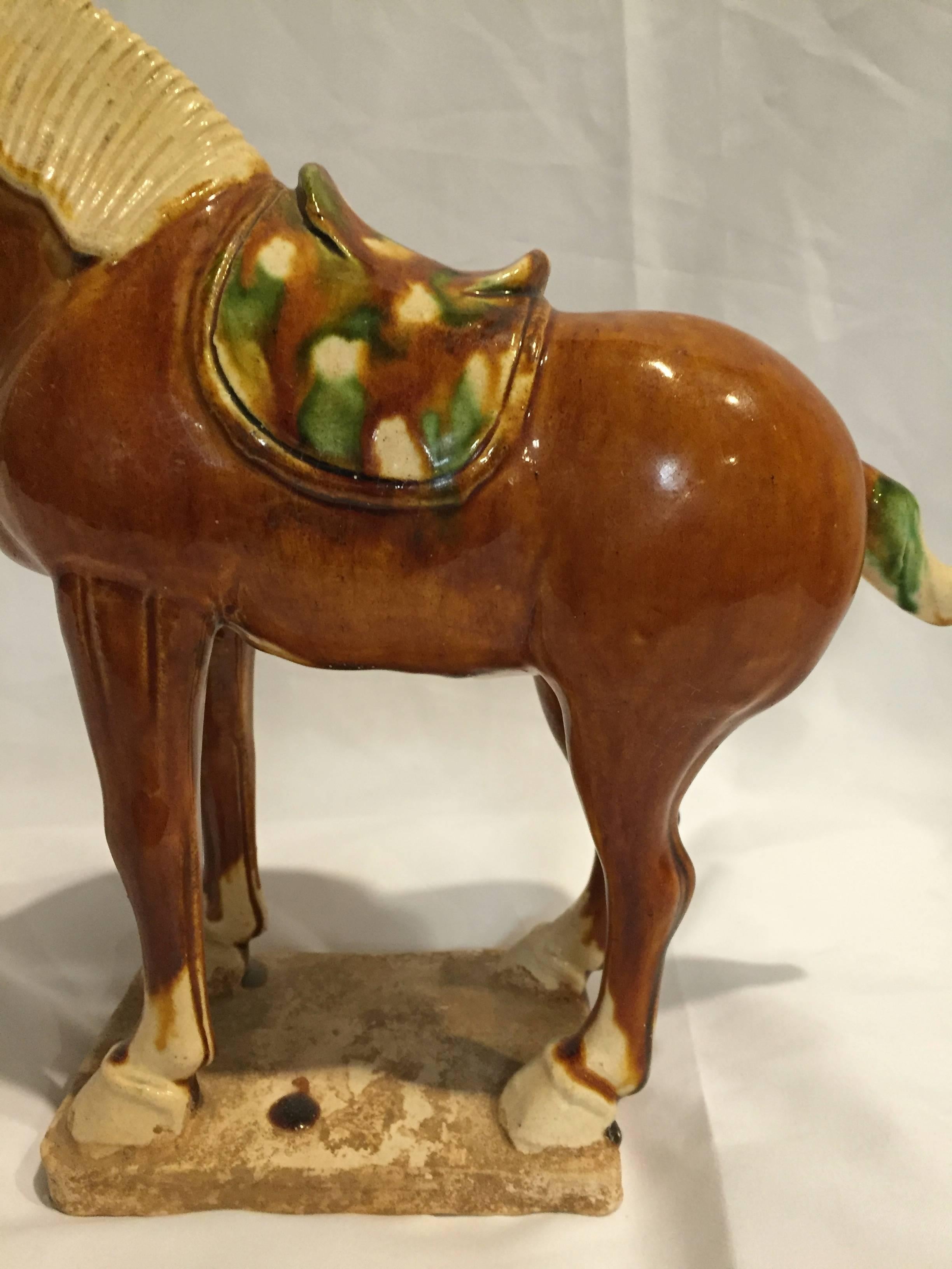 Pair of Chinese Tang San Cai Terracotta Horses For Sale 3