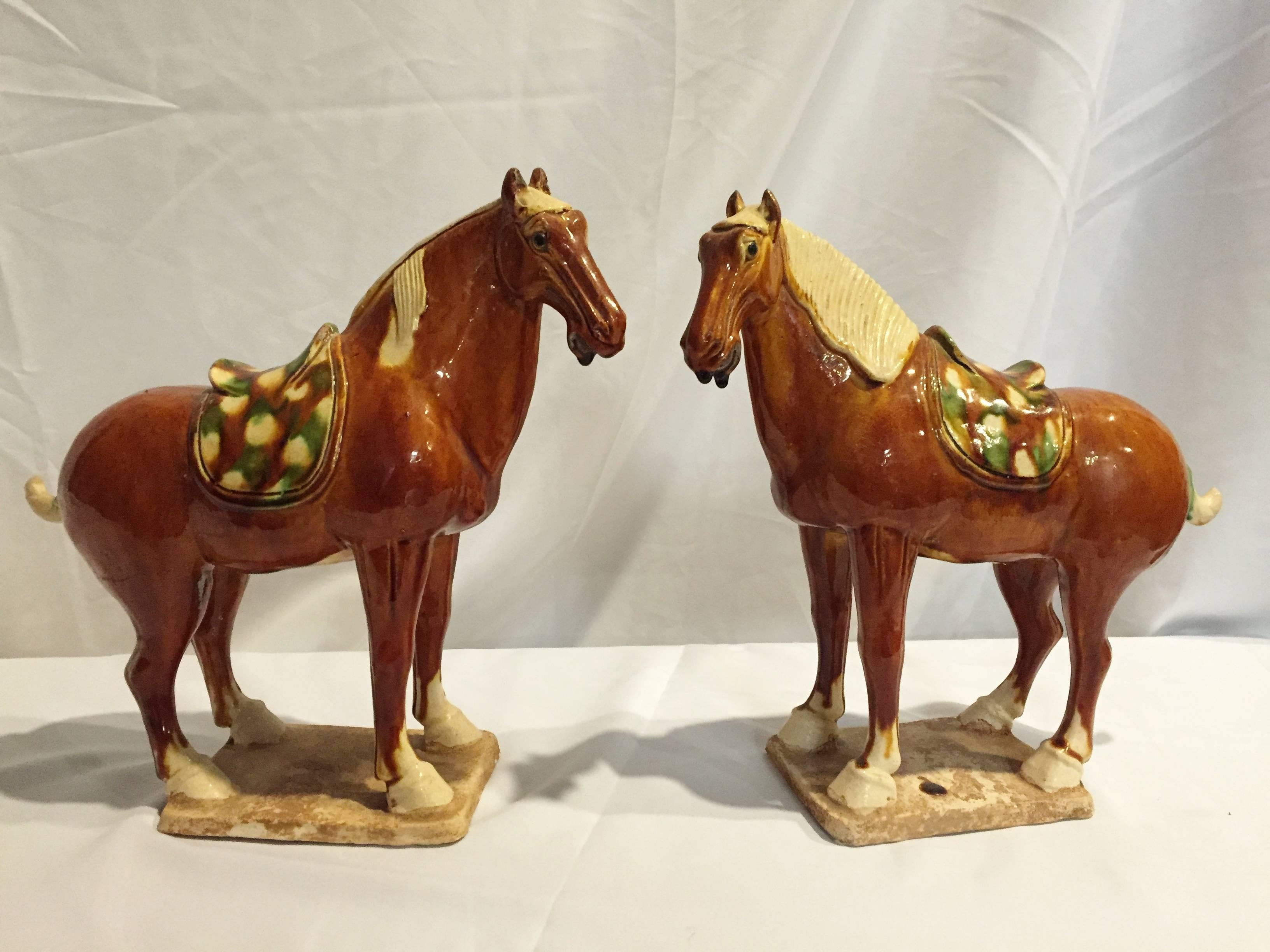 Pair of Chinese Tang San Cai Terracotta Horses For Sale 6