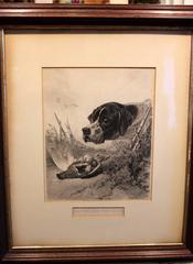Set of Four 19th Century English Hunting Dog Print Engravings