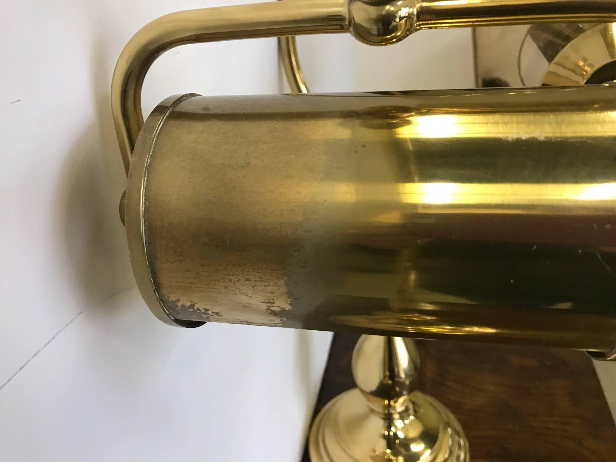 Pair of Brass Goose Neck Library Lamps In Excellent Condition In Lambertville, NJ