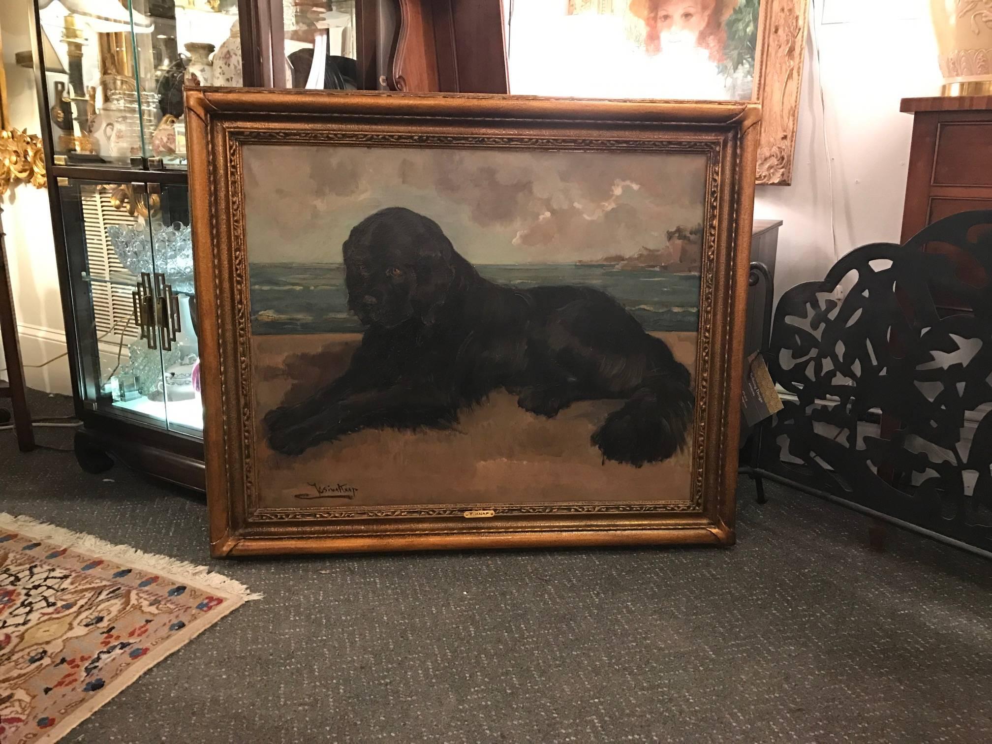 Large 19th Century Oil Painting on Canvas of a Newfoundland Dog 3