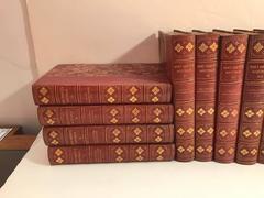 1903 Leather Bound Books, 19 Volumes Bret Harte's Writings