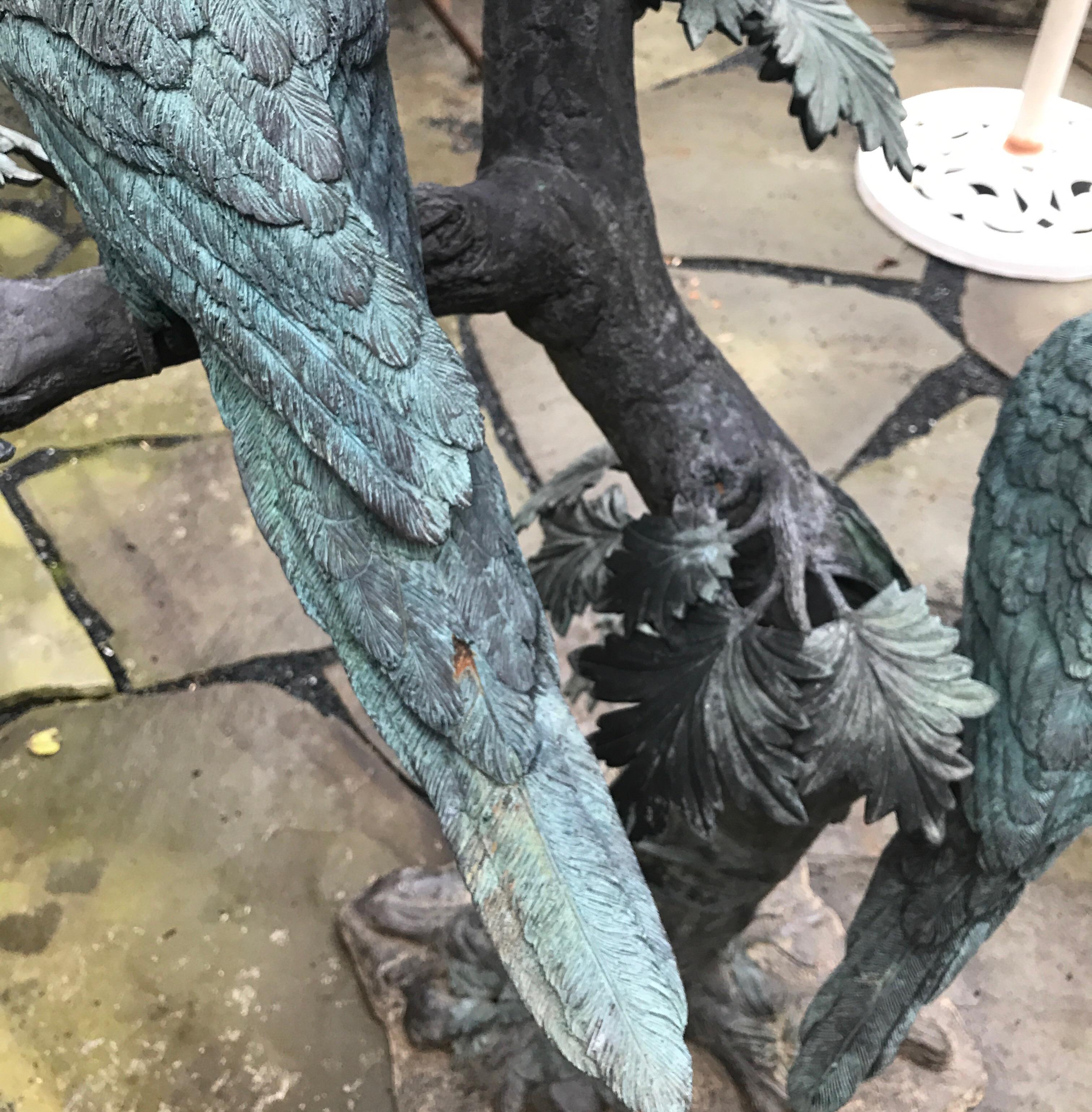 Large Garden Bronze Sculpture of Parrots 4