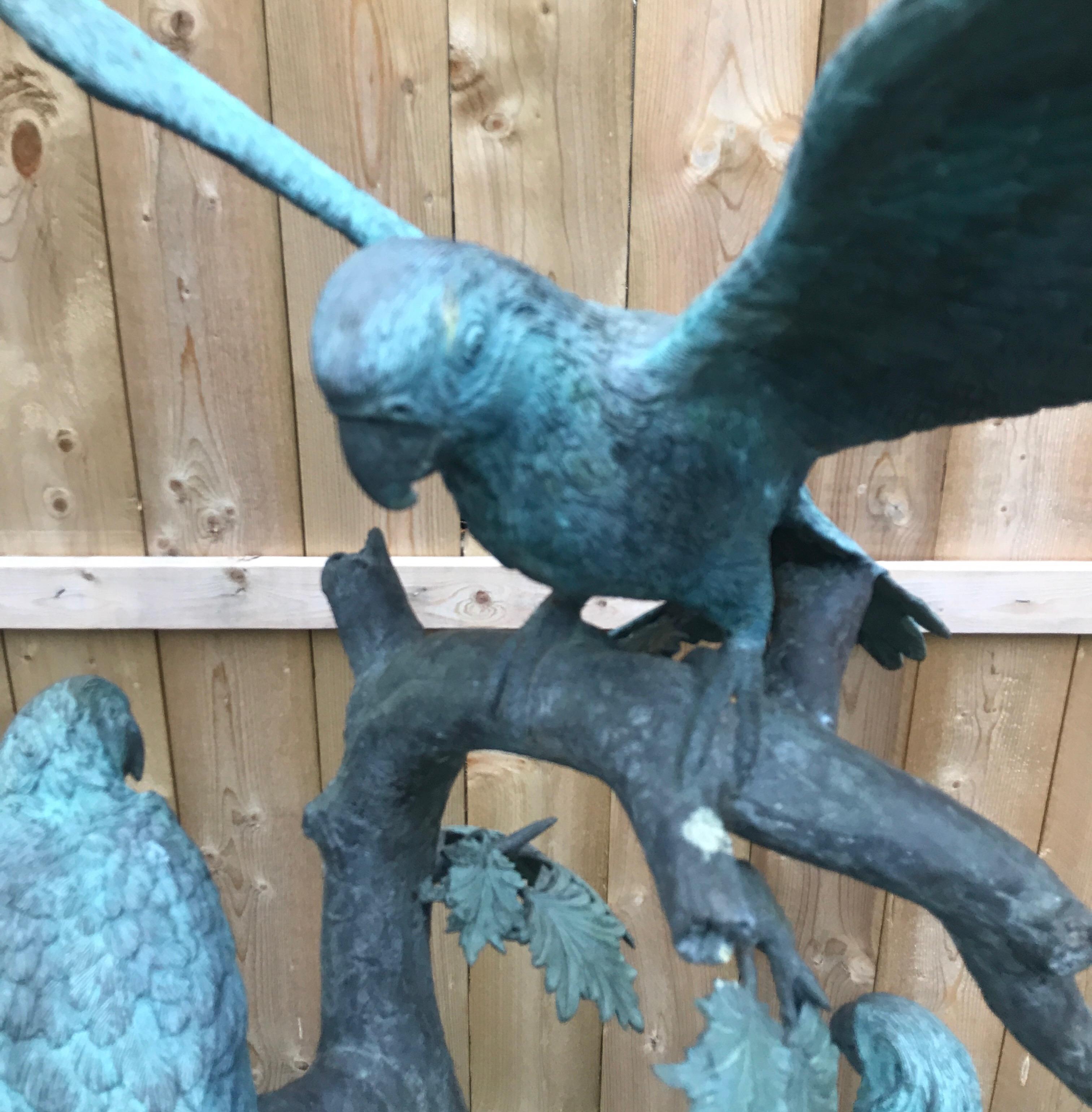 Large finely cast bronze sculpture of three parrots in a tropical tree. The large parrots one with a full display of wingspan at the top with two others on the lower branches. This browse has a beautiful patination for being outdoors, all original