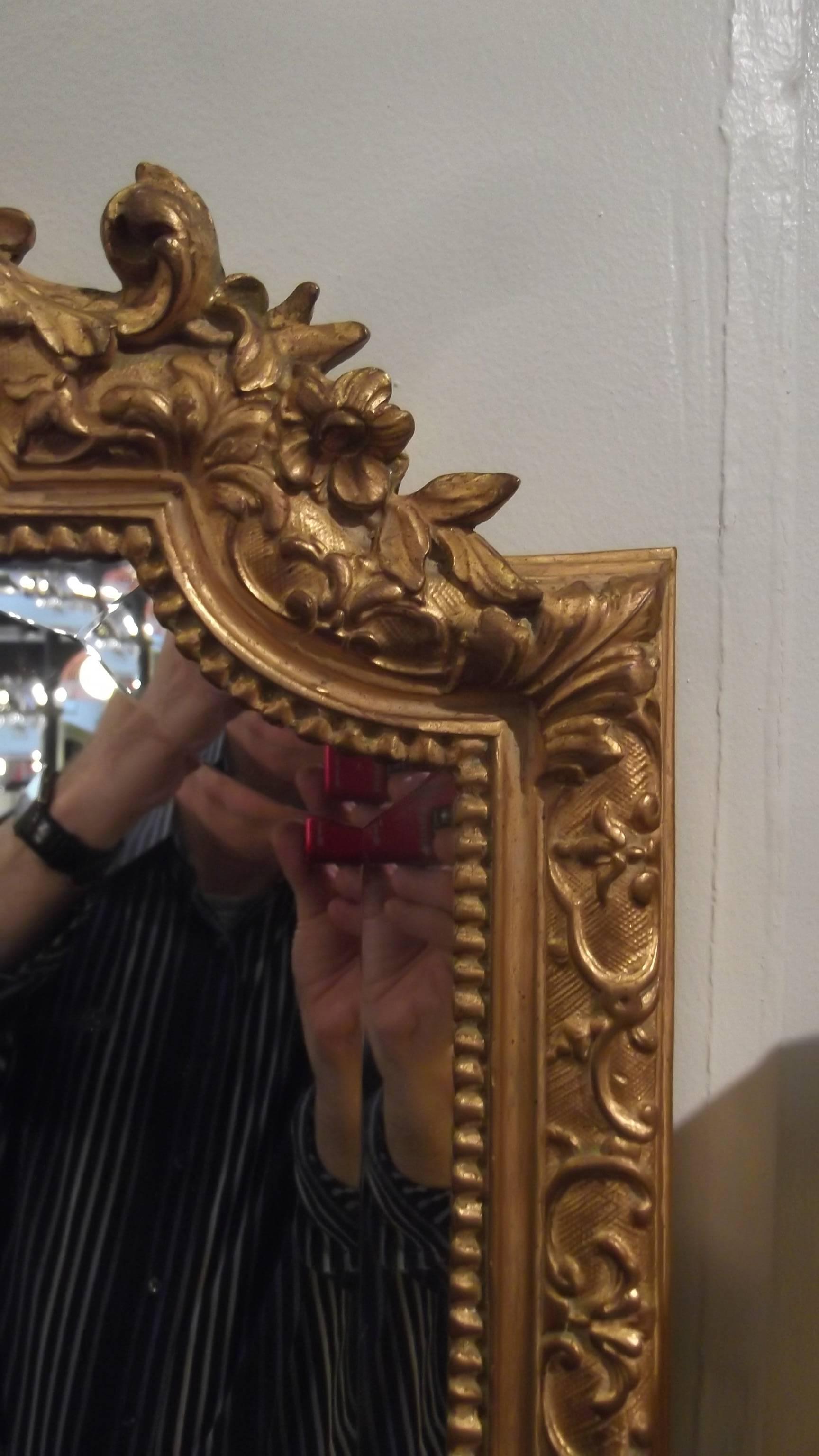 American Giltwood and Gesso Louis XV Style Mirror by Carvers Guild