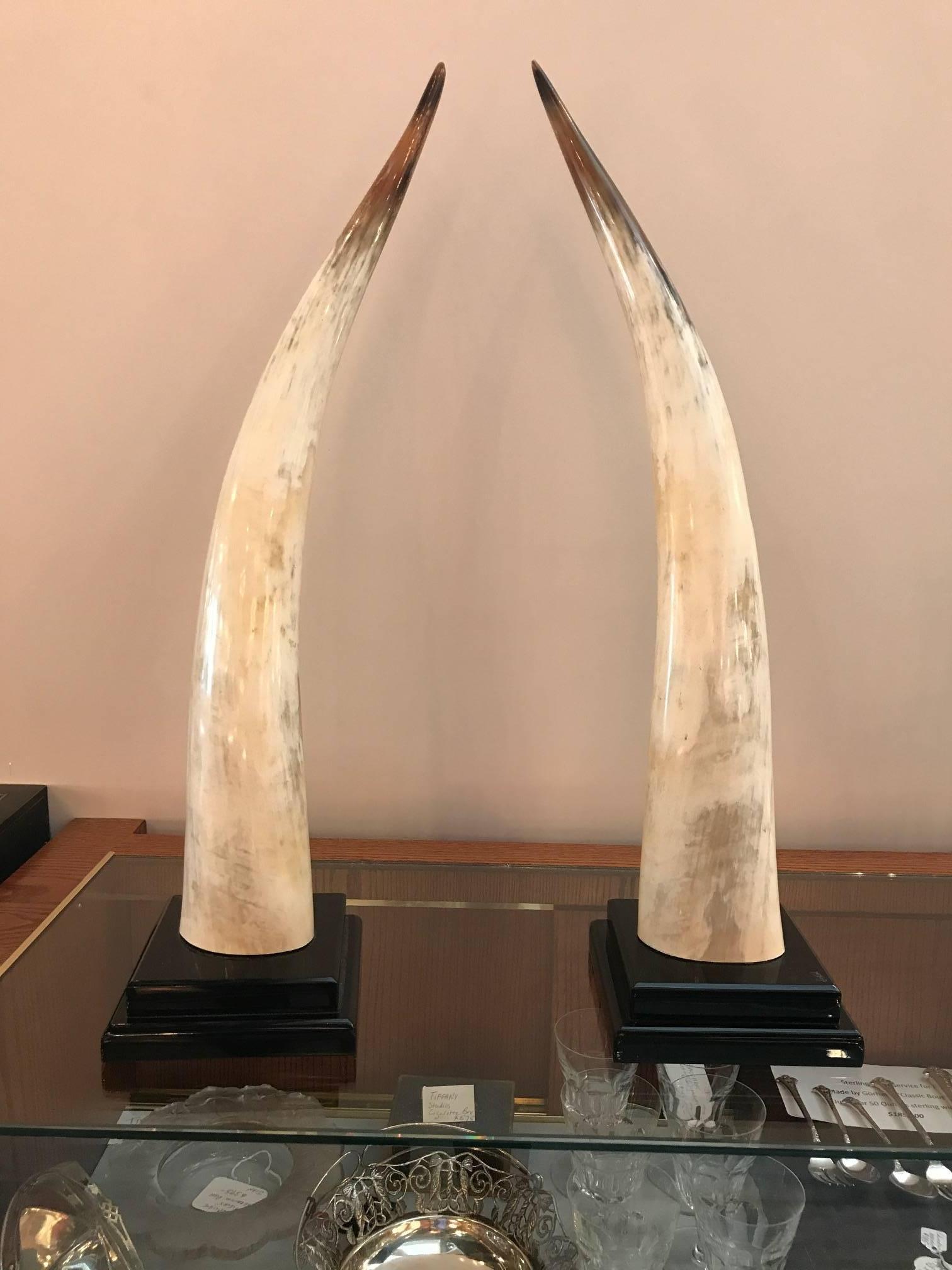 Stylish pair of steer horns mounted on black Lucite bases. Each one inscribed Van Teal on bases.