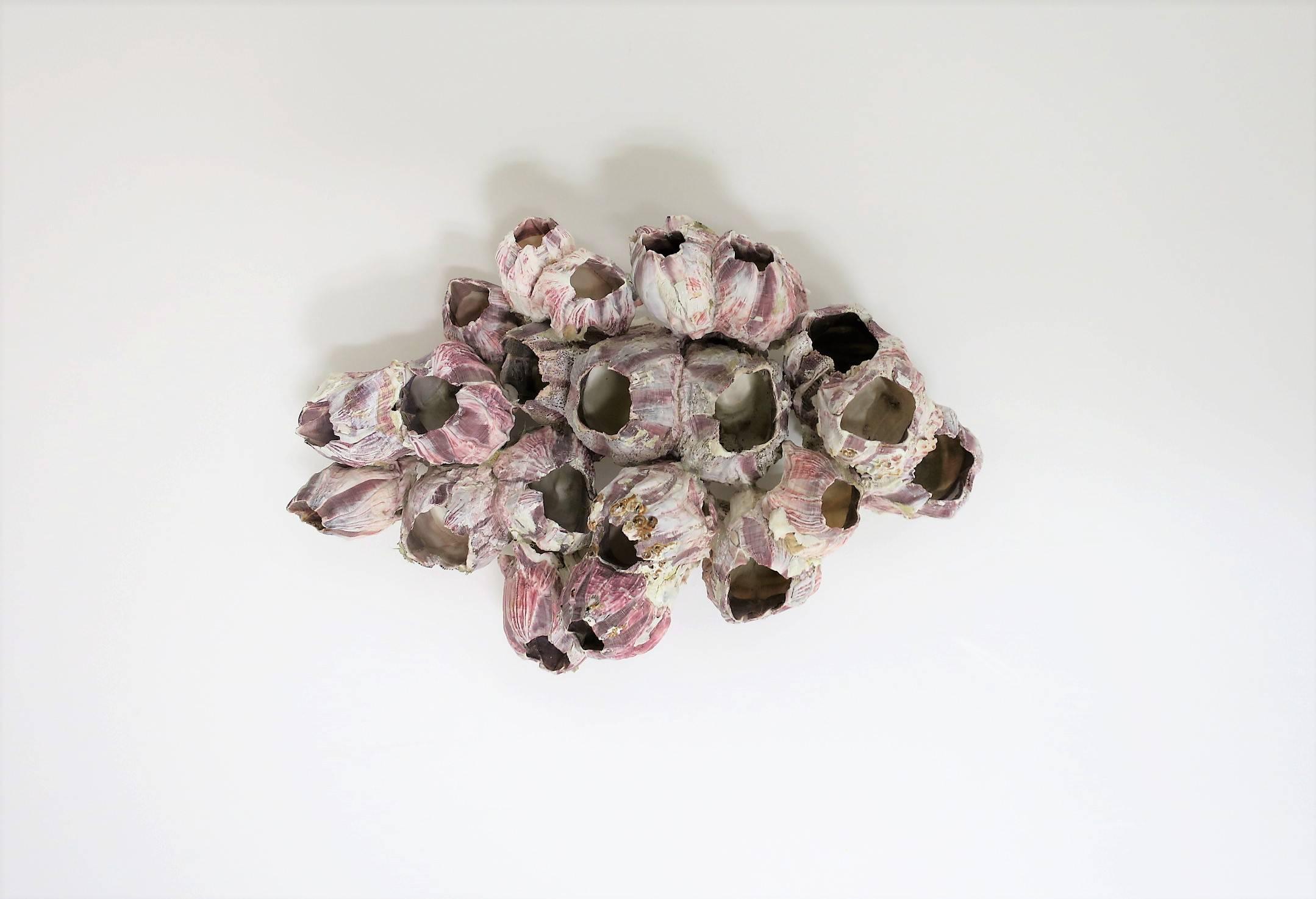 Organic Modern Vintage White and Purple Barnacle Coral Specimen Sculpture
