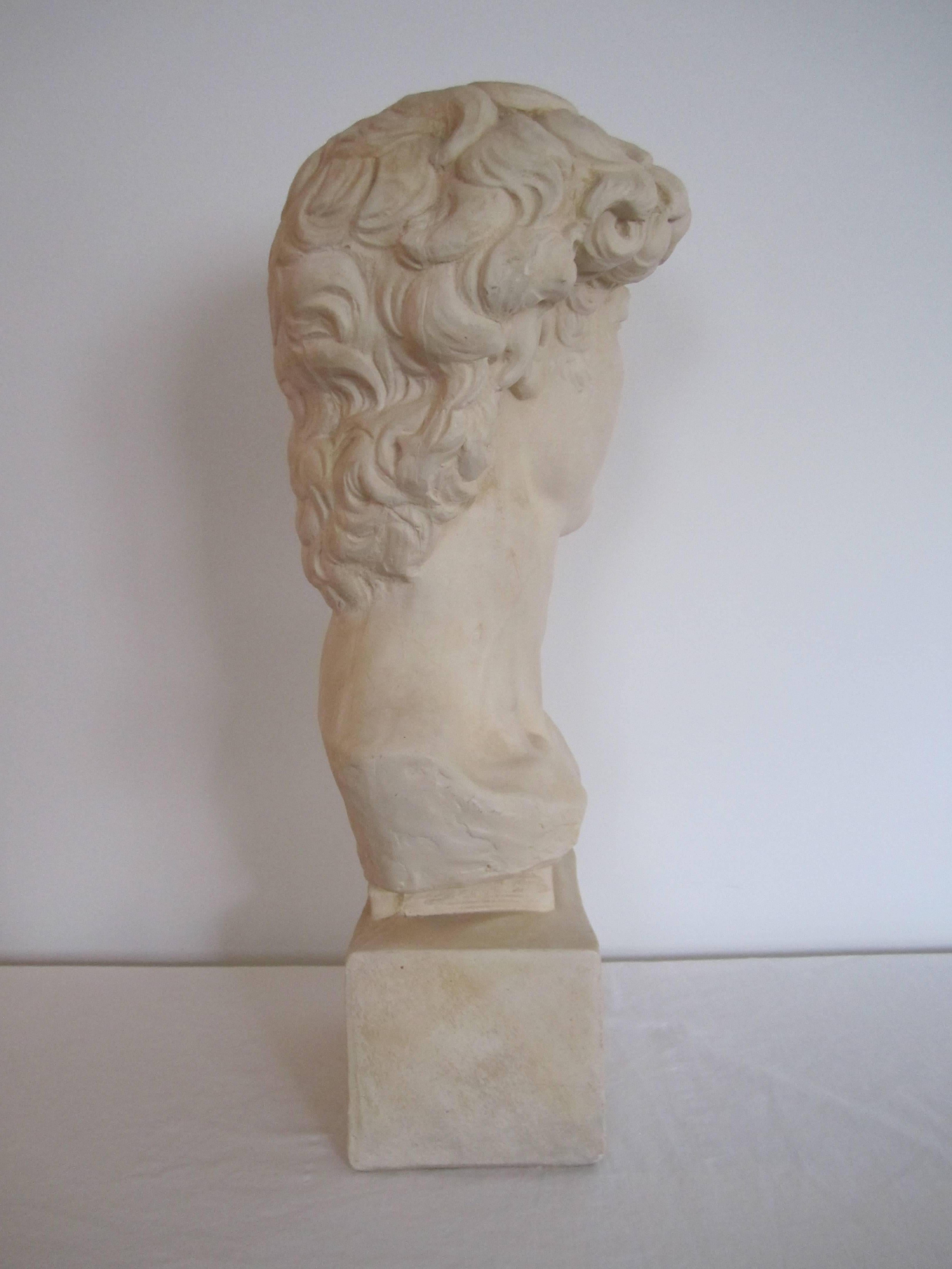 Vintage Classic Roman Style Bust of the David In Good Condition In New York, NY