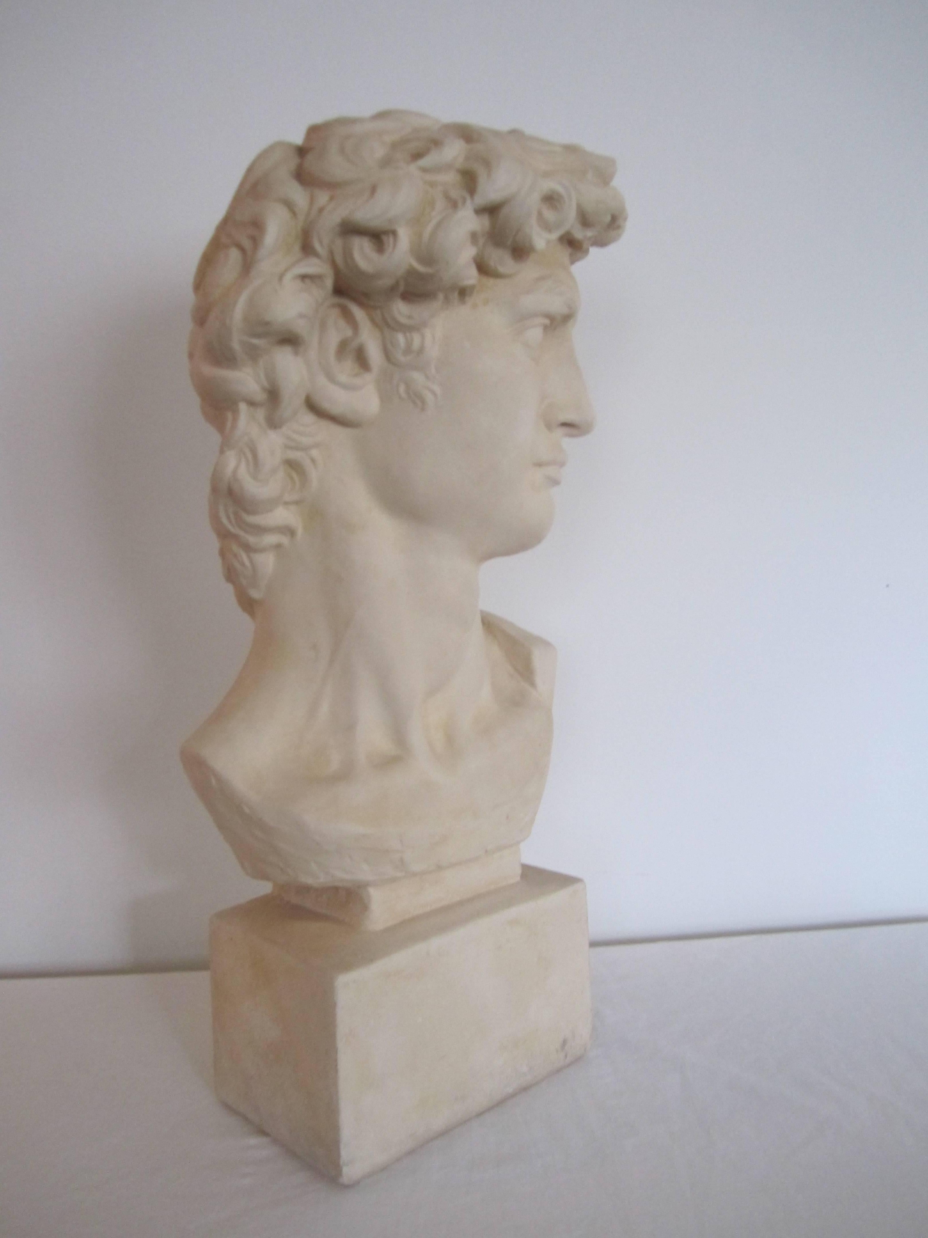 20th Century Vintage Classic Roman Style Bust of the David