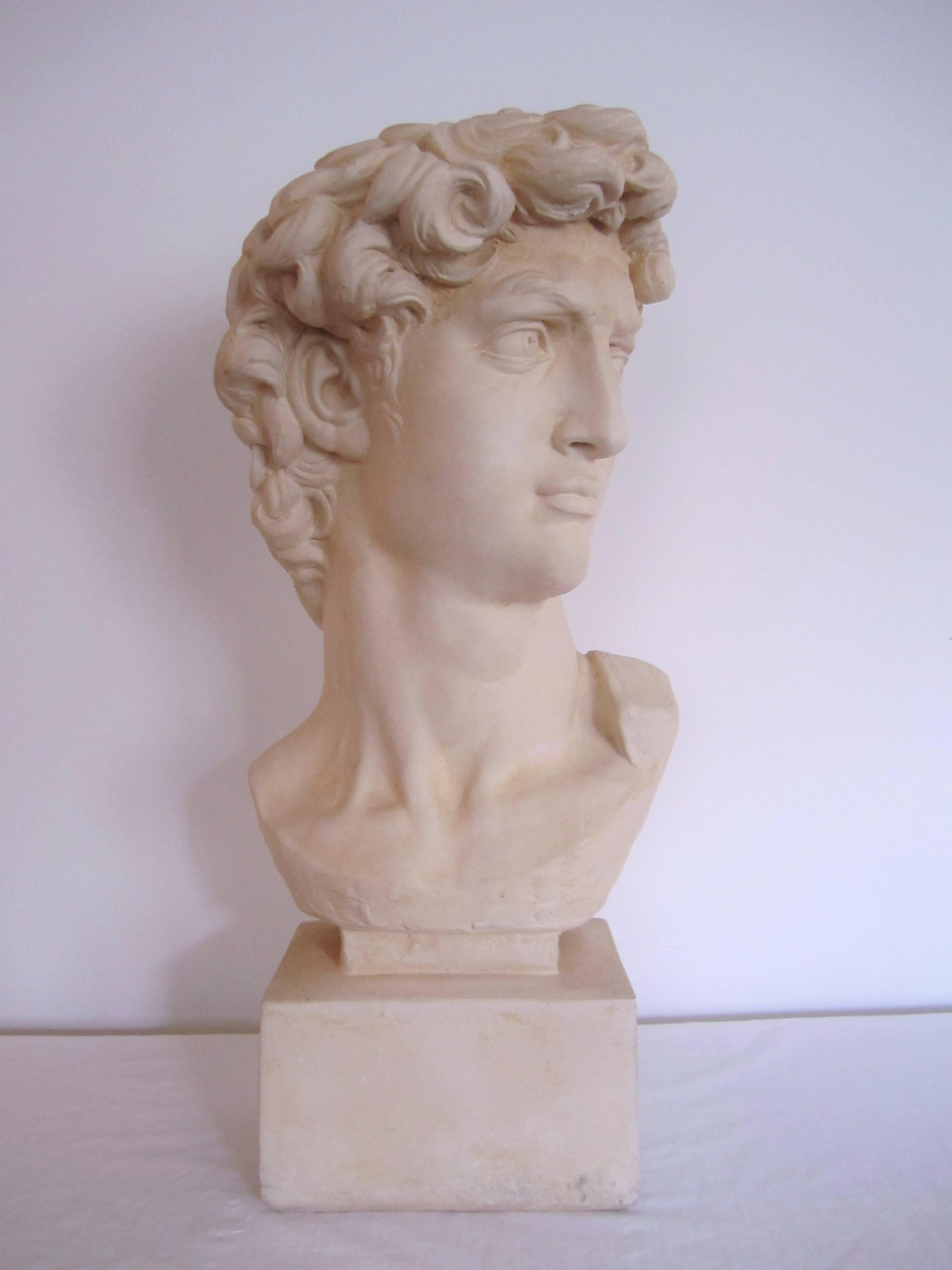 Vintage Classic Roman Style Bust of the David 2