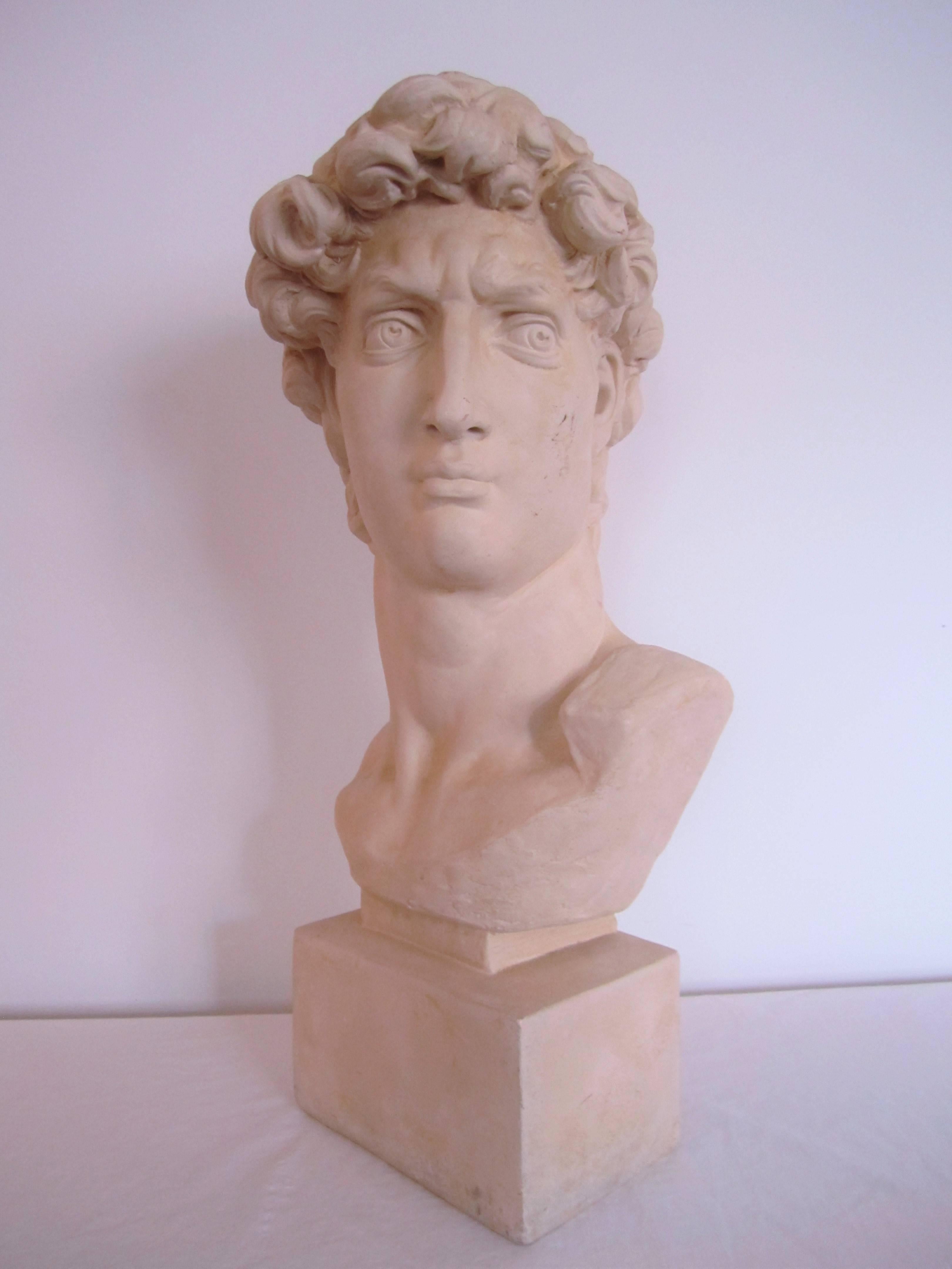 Plaster Vintage Classic Roman Style Bust of the David