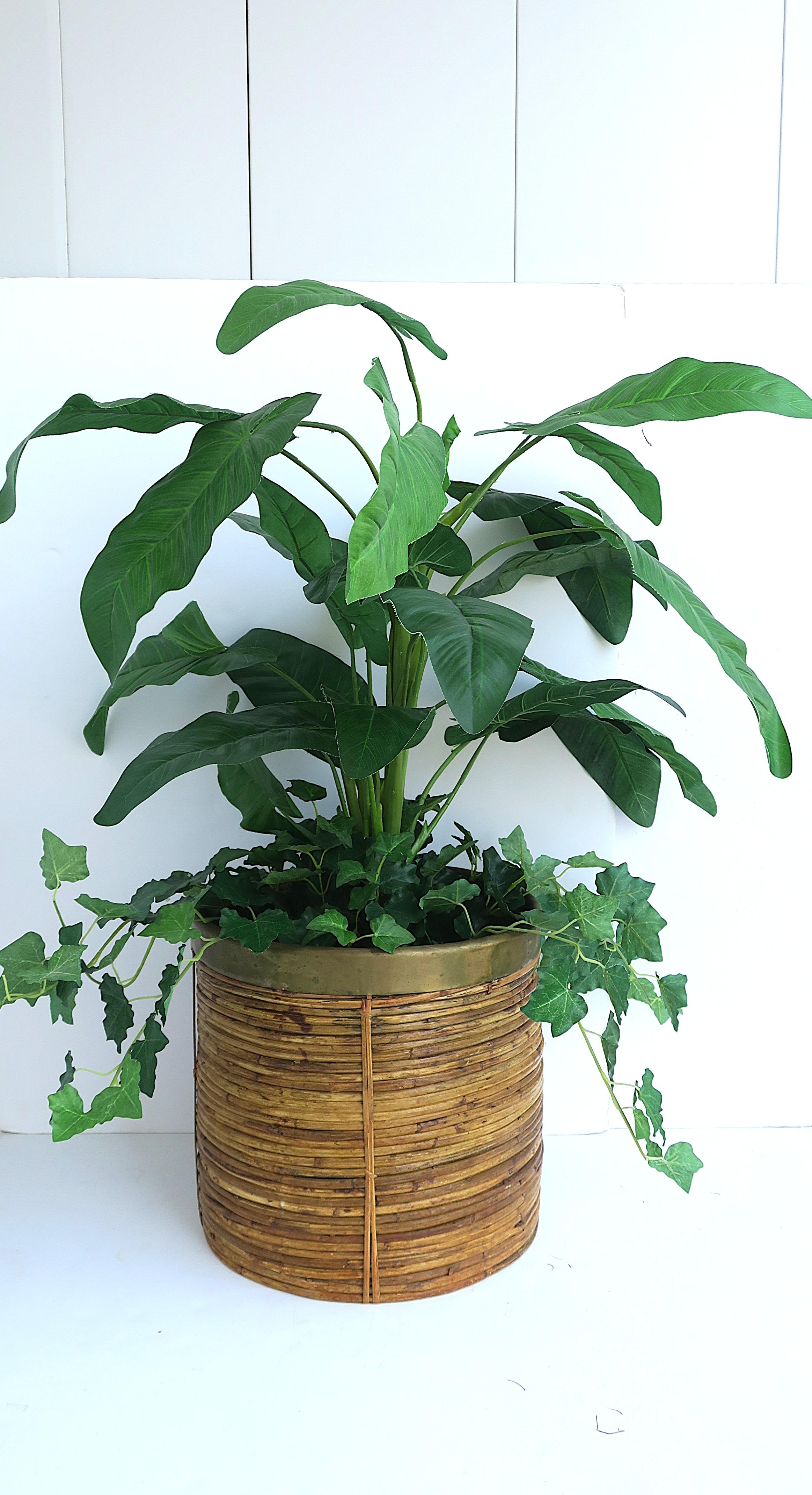 Wicker and Brass Cachepot or Wastebasket Crespi Style For Sale 1