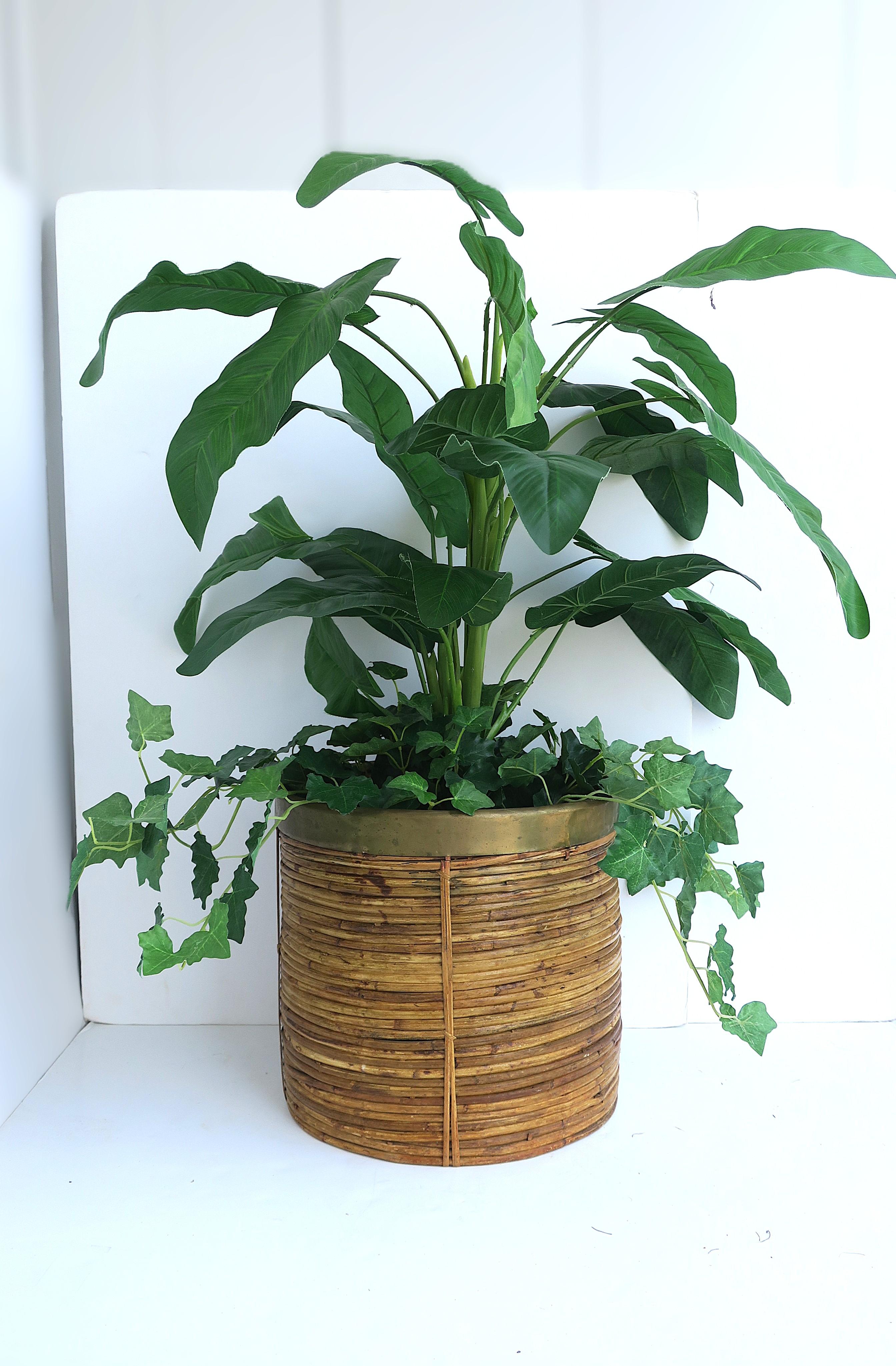 Wicker and Brass Cachepot or Wastebasket Crespi Style In Good Condition For Sale In New York, NY