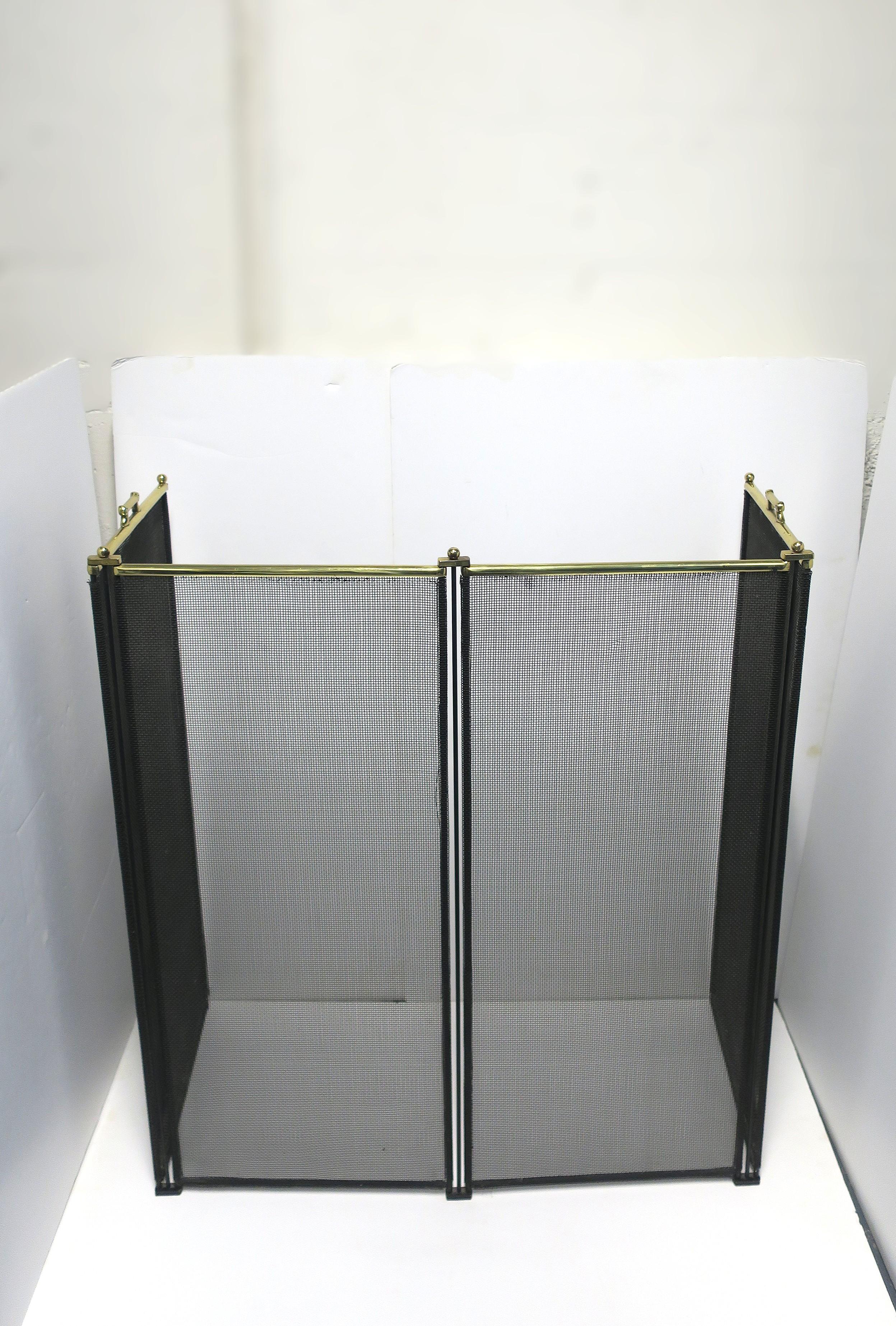 Fireplace Screen In Good Condition For Sale In New York, NY