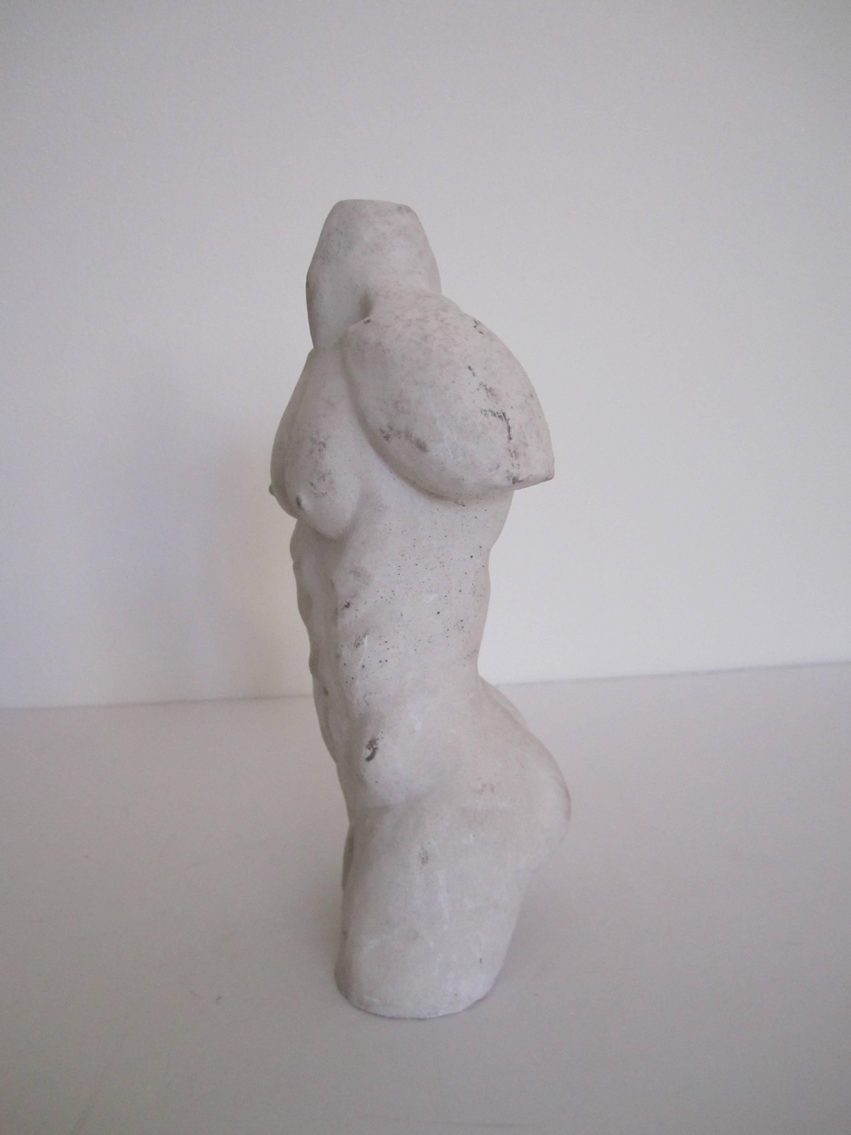 Male Torso Plaster Sculpture 1