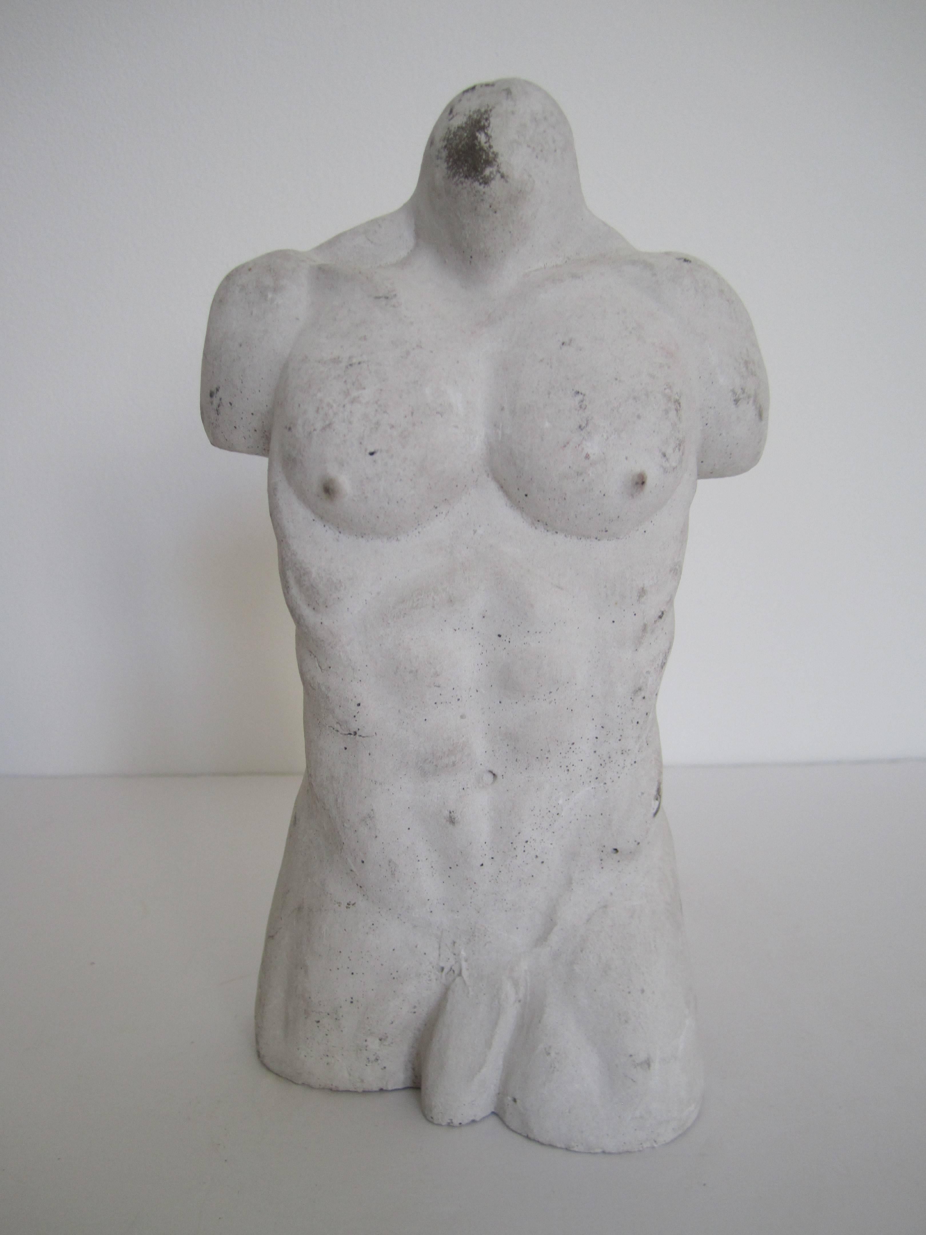 plaster male torso