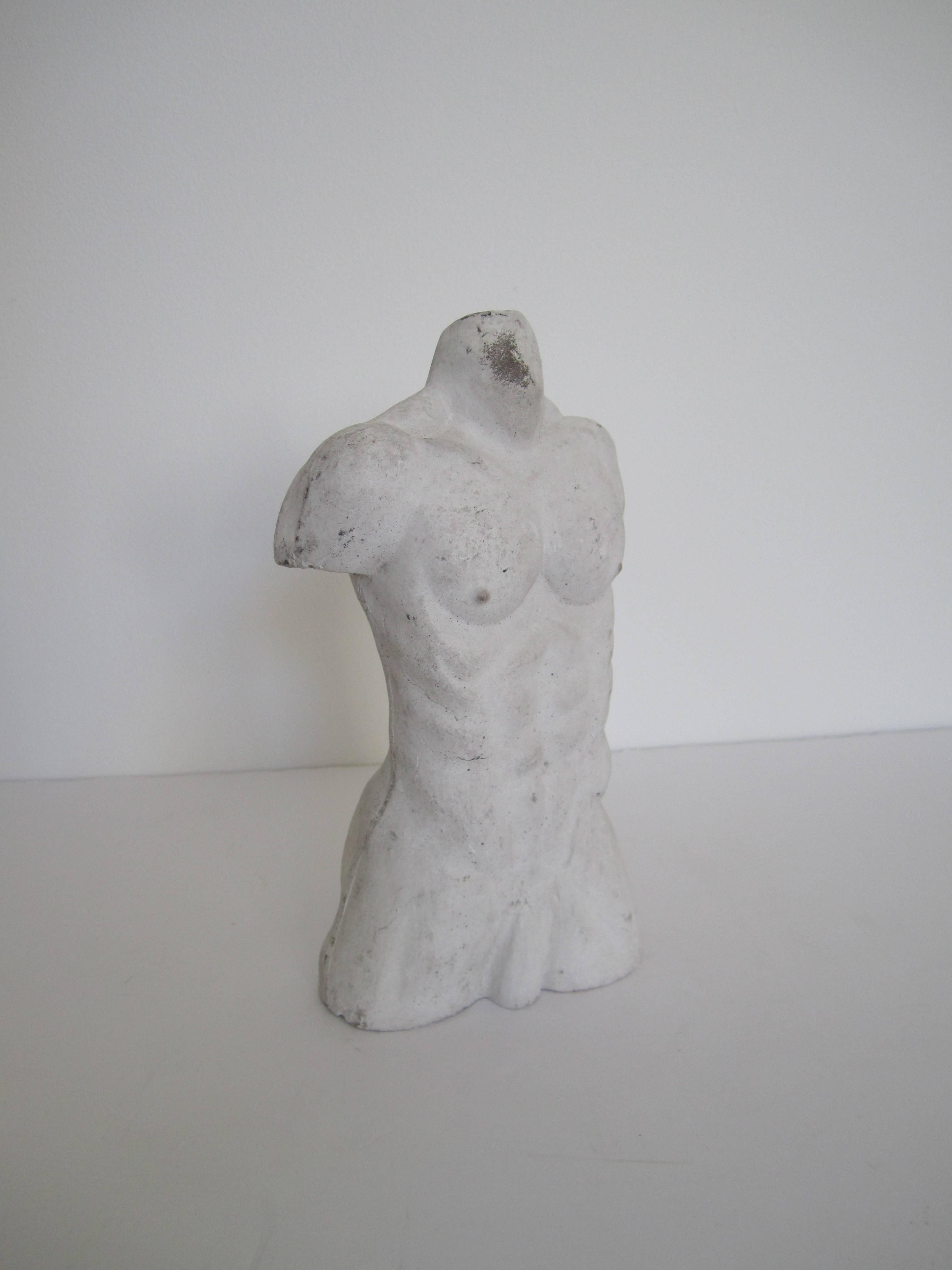 Unknown Male Torso Plaster Sculpture