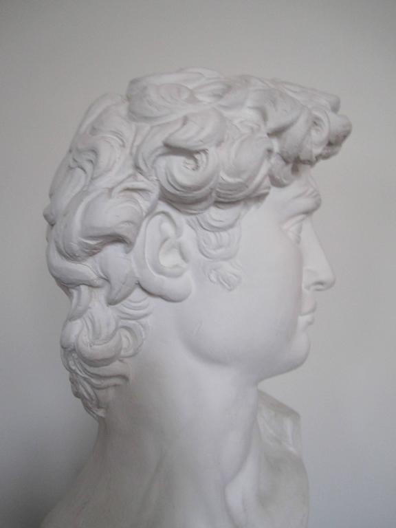 Classic Roman sculpture bust of David - Deconamic