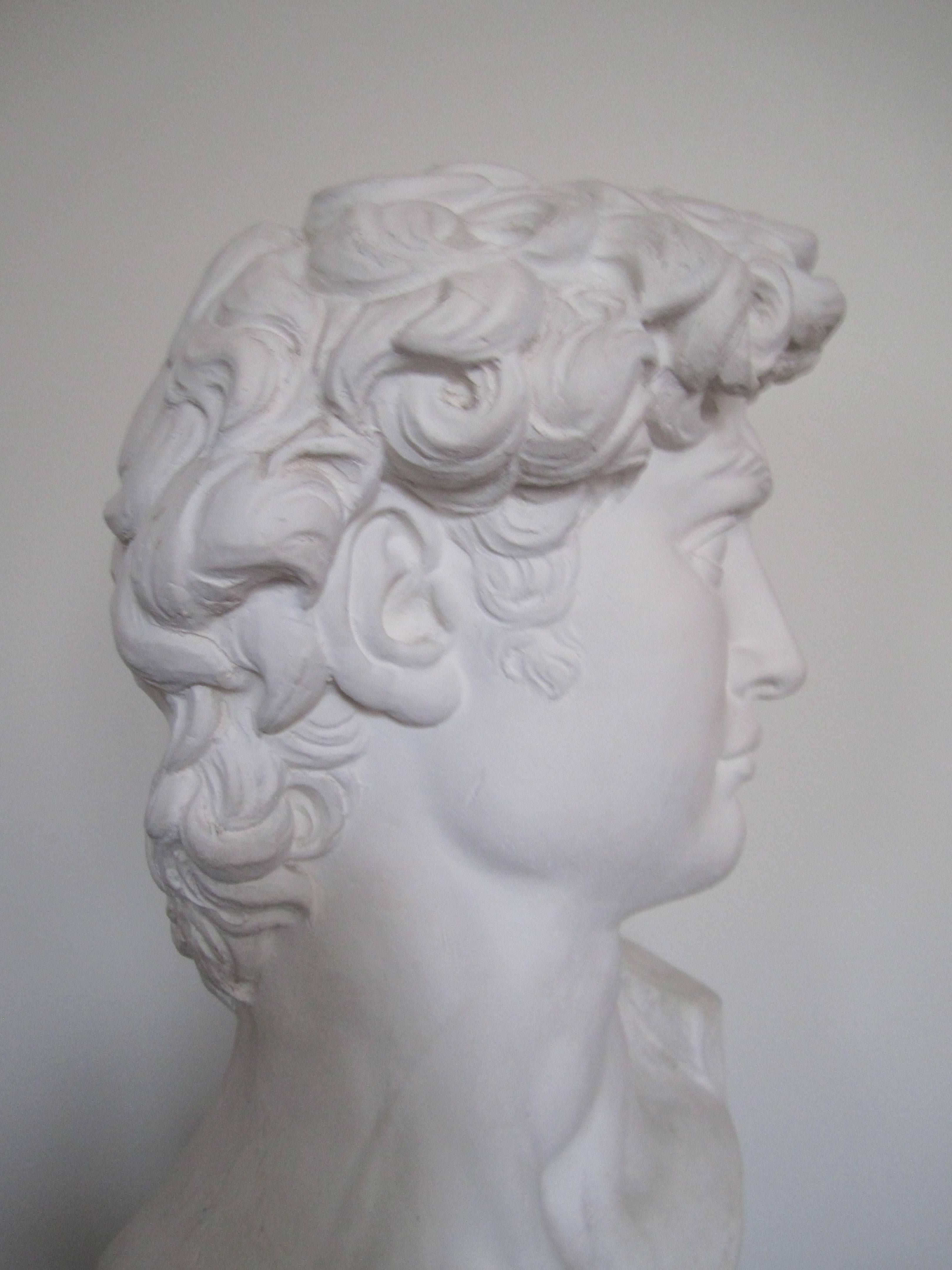 Unknown Vintage Classic Roman Style Bust of the David