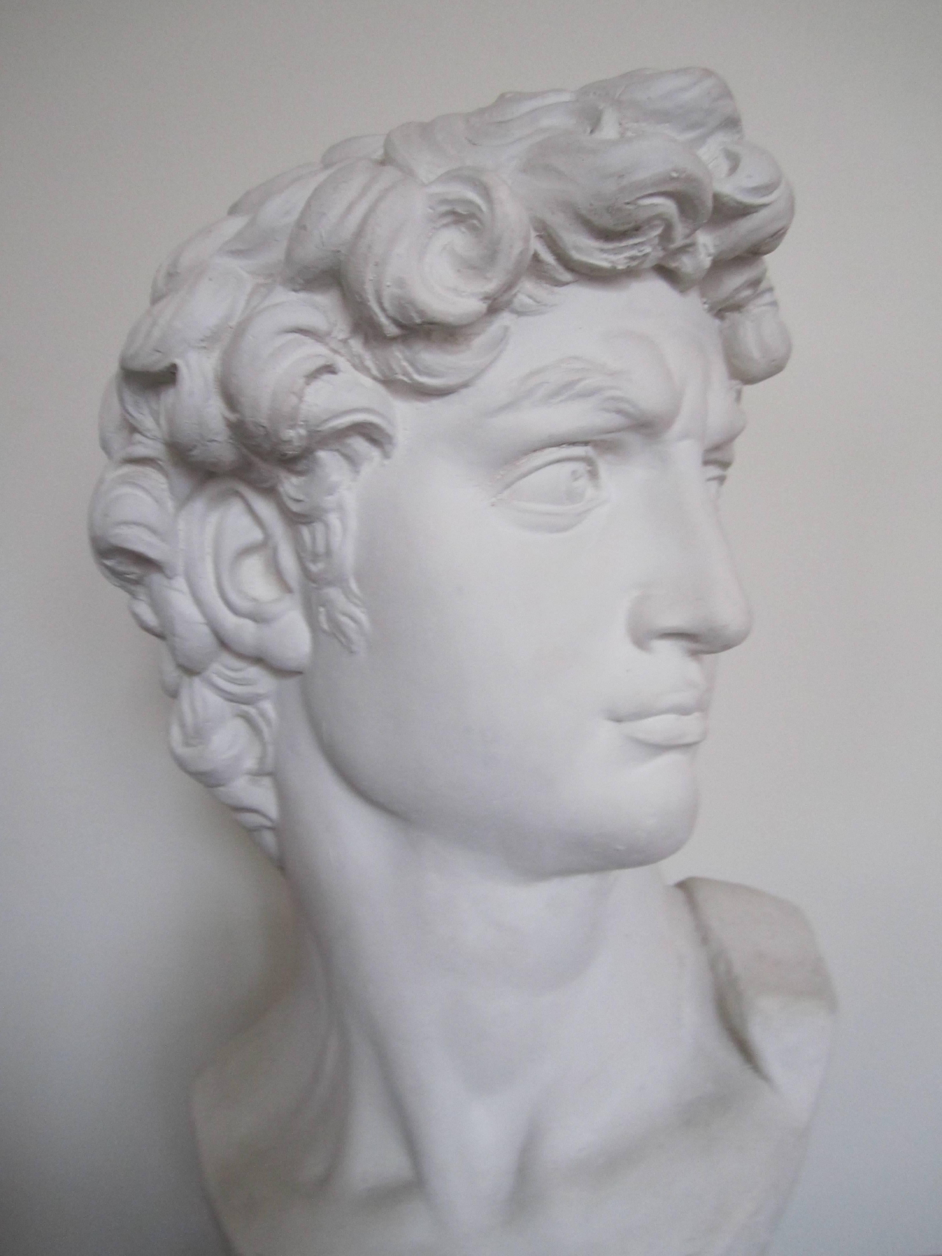 Cast Vintage Classic Roman Style Bust of the David