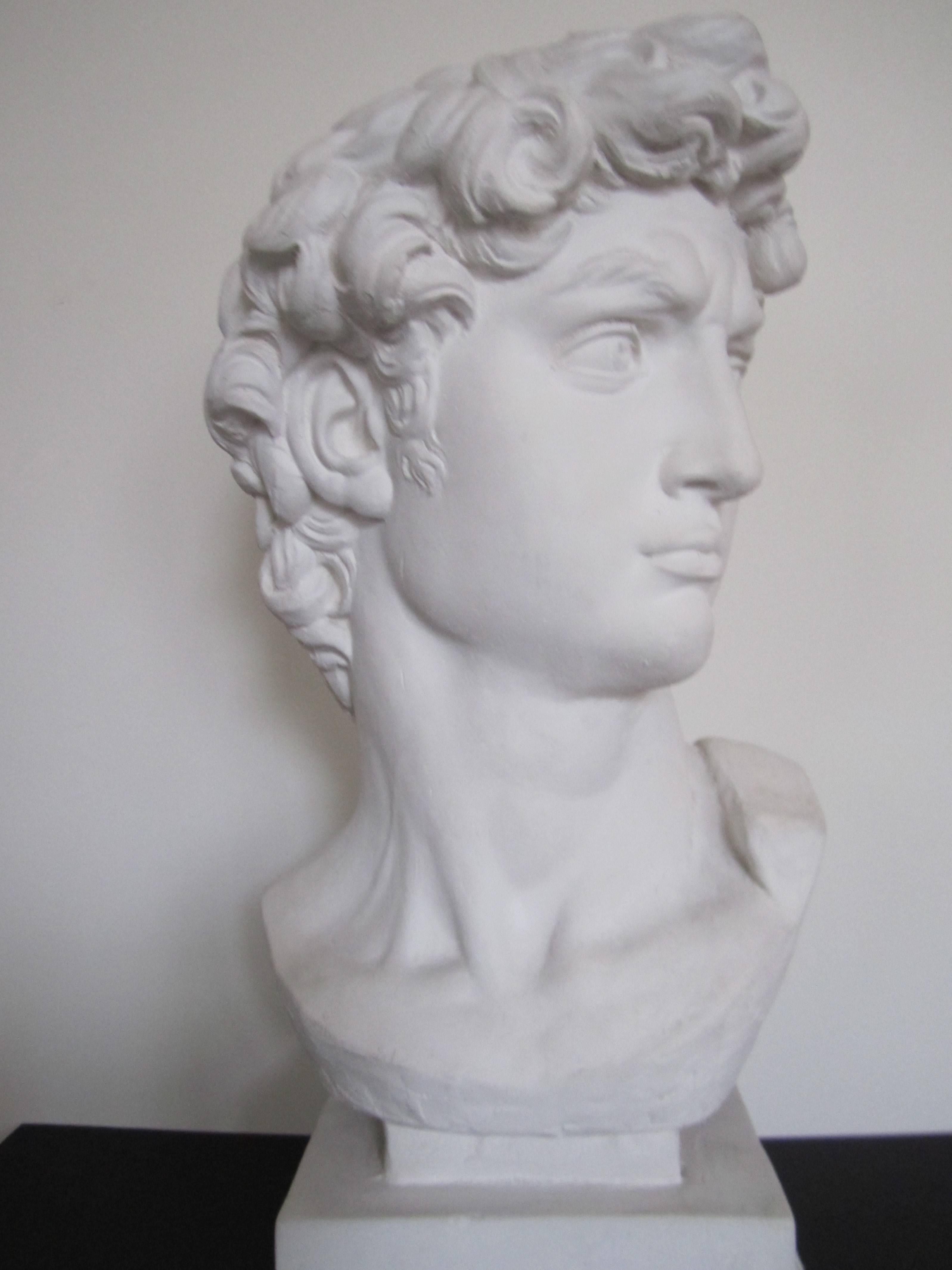 Classical Roman Vintage Classic Roman Style Bust of the David