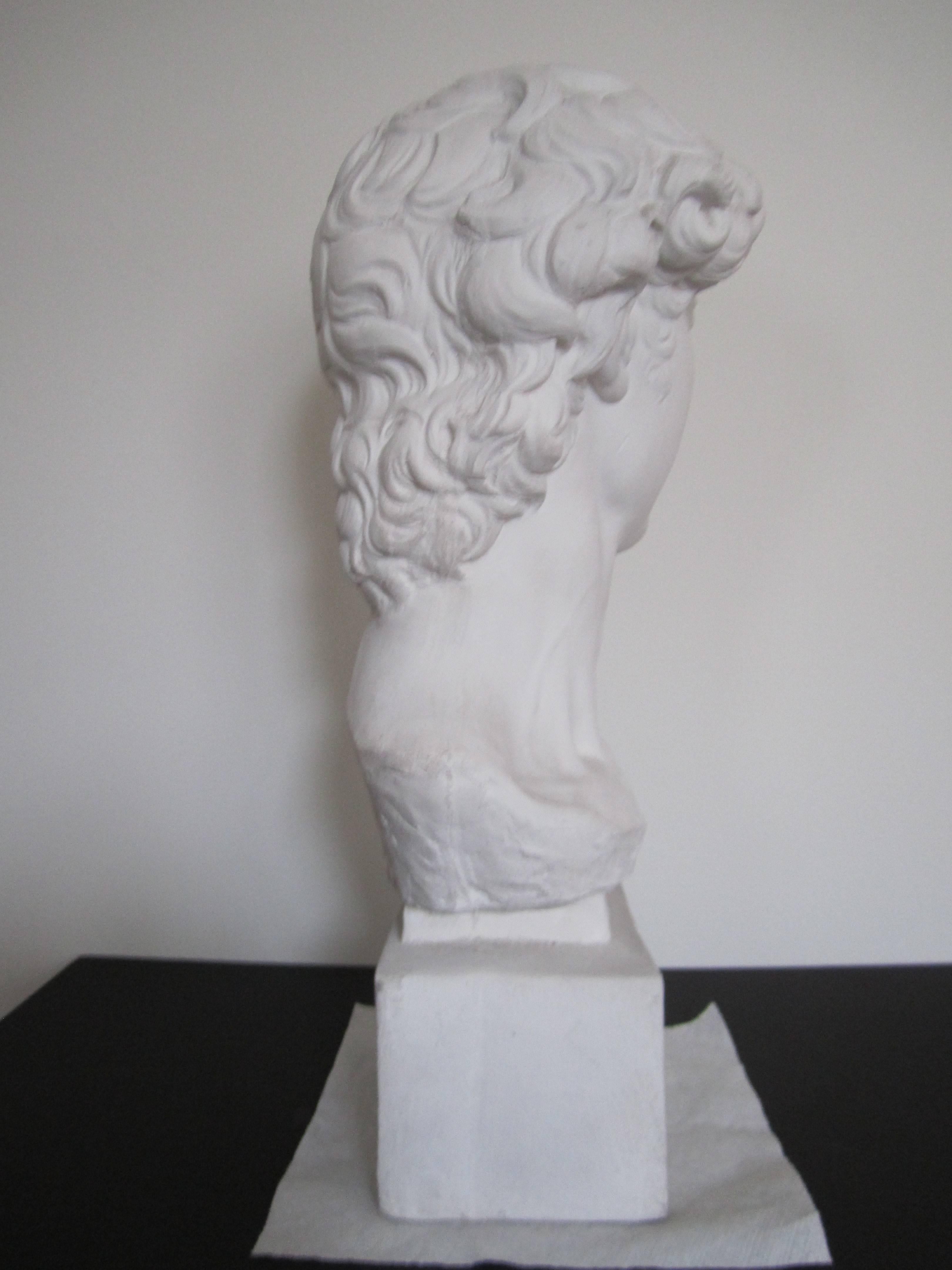 Vintage Classic Roman Style Bust of the David In Excellent Condition In New York, NY