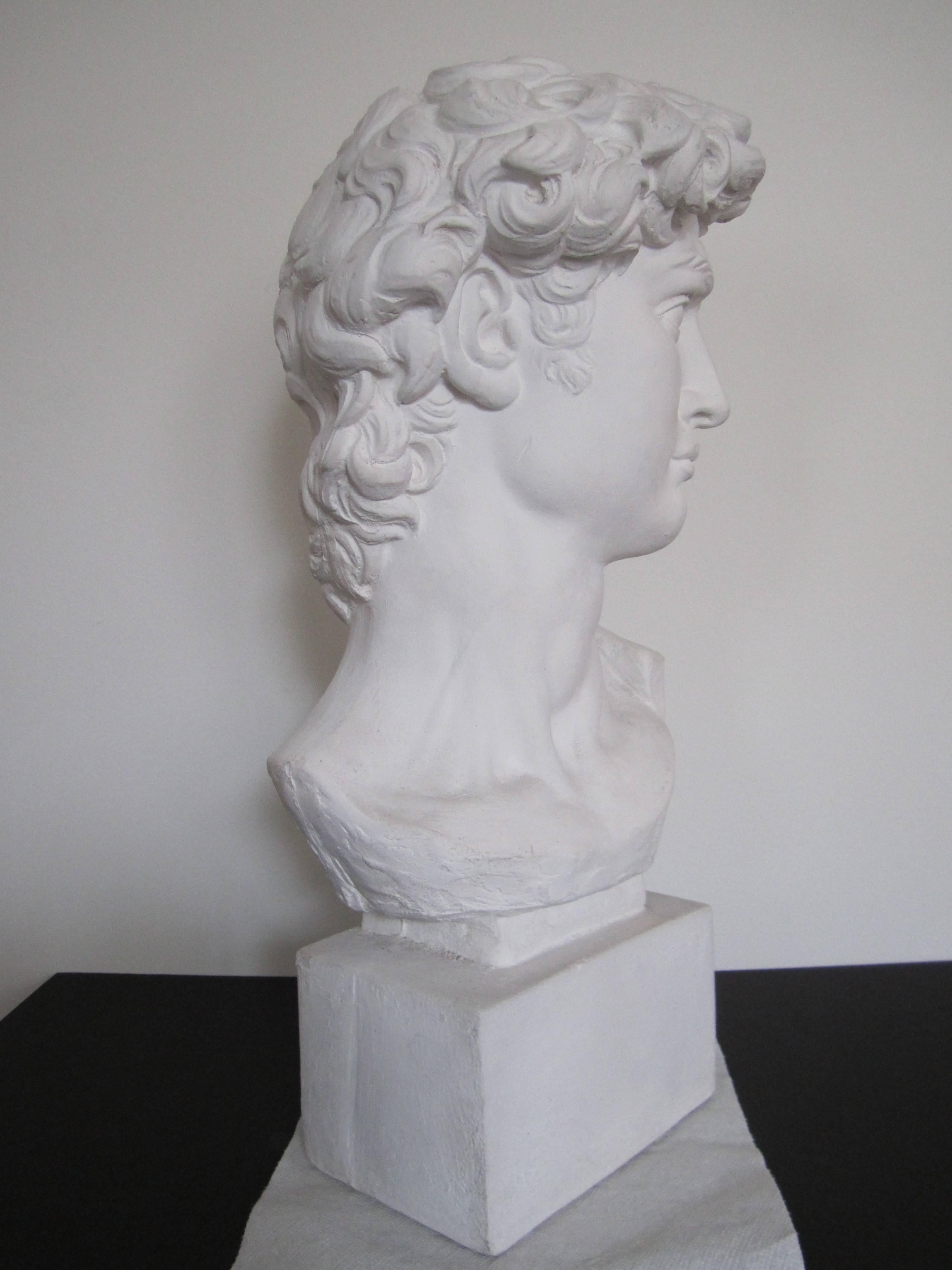 20th Century Vintage Classic Roman Style Bust of the David