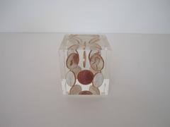 Vintage Lucite and Copper Penny Paperweight, circa 1974