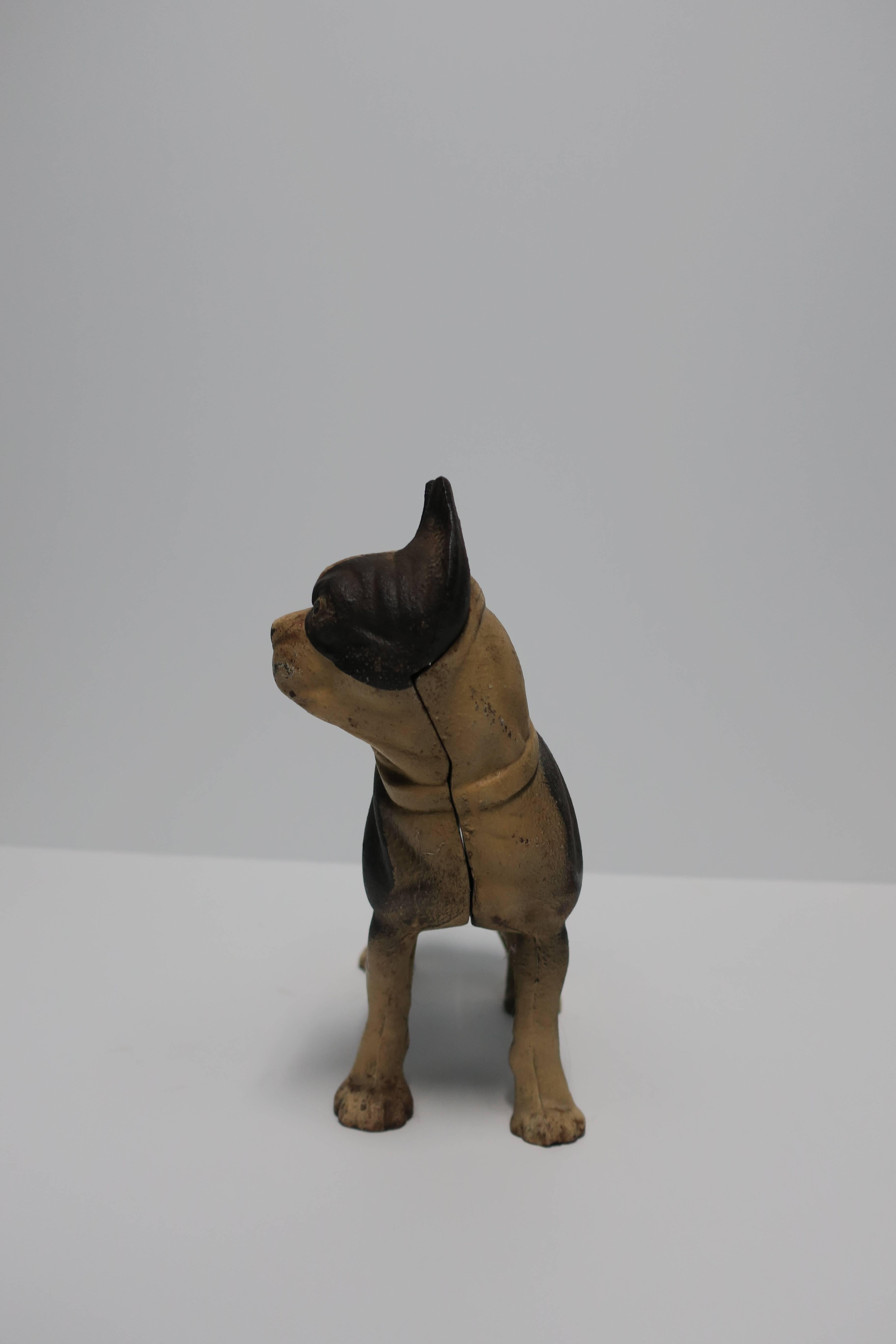 Substantial Cast Iron Boston Terrier Dog Sculpture or Doorstop, circa 1930 1