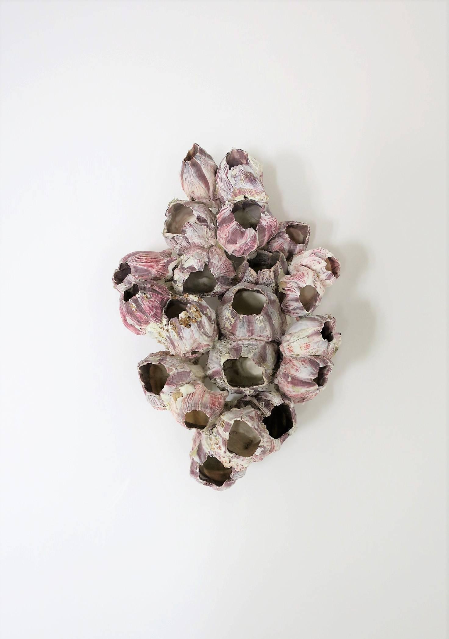 A beautiful vintage white and purple natural barnacle coral specimen sculpture piece. 
A real, very beautiful and relatively large, white and purple barnacle specimen sculpture decorative object. 

Piece measures: 9 in. x 12 in. x 6.25 in. H

Item