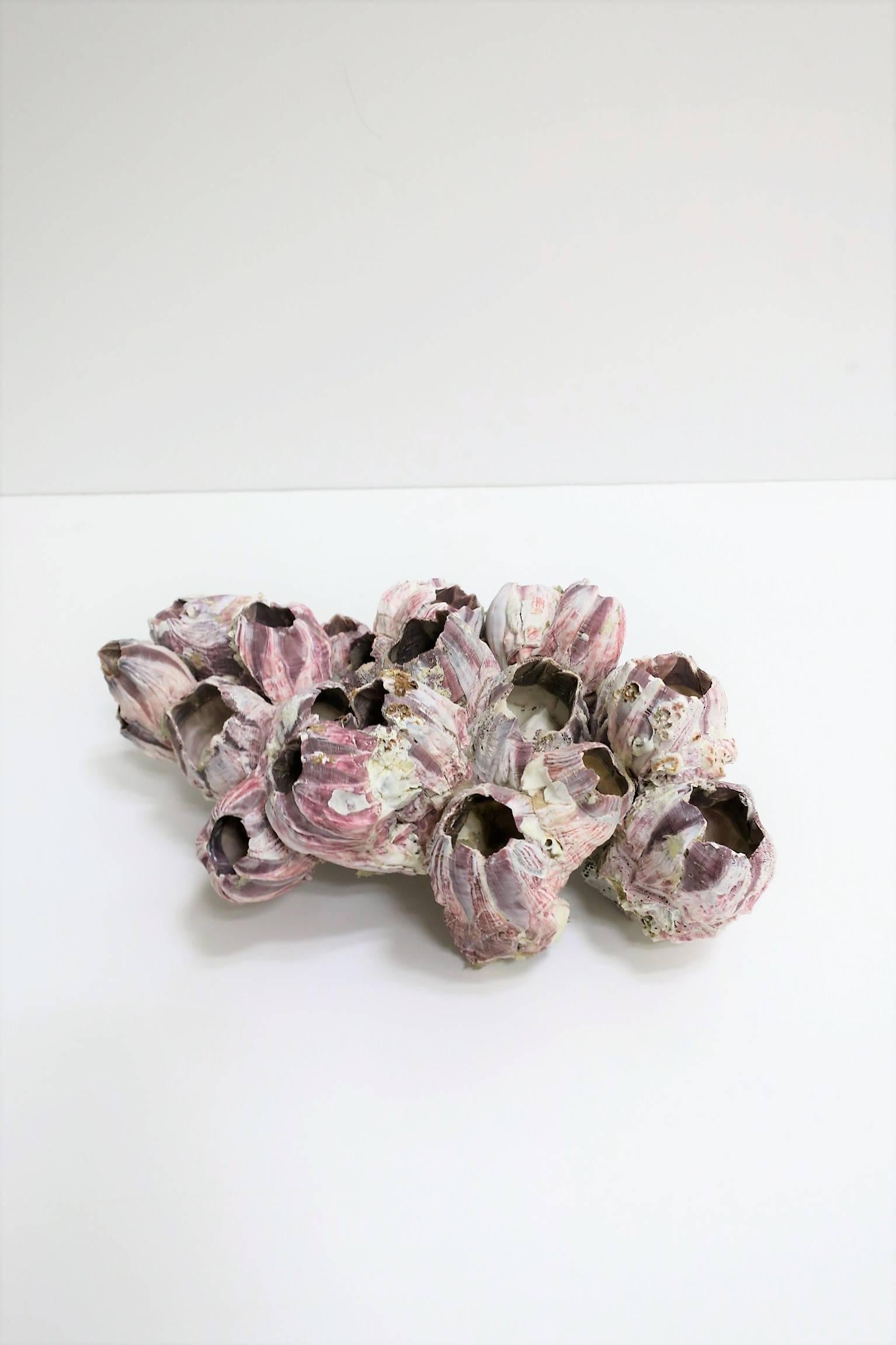 Vintage White and Purple Barnacle Coral Specimen Sculpture In Excellent Condition In New York, NY
