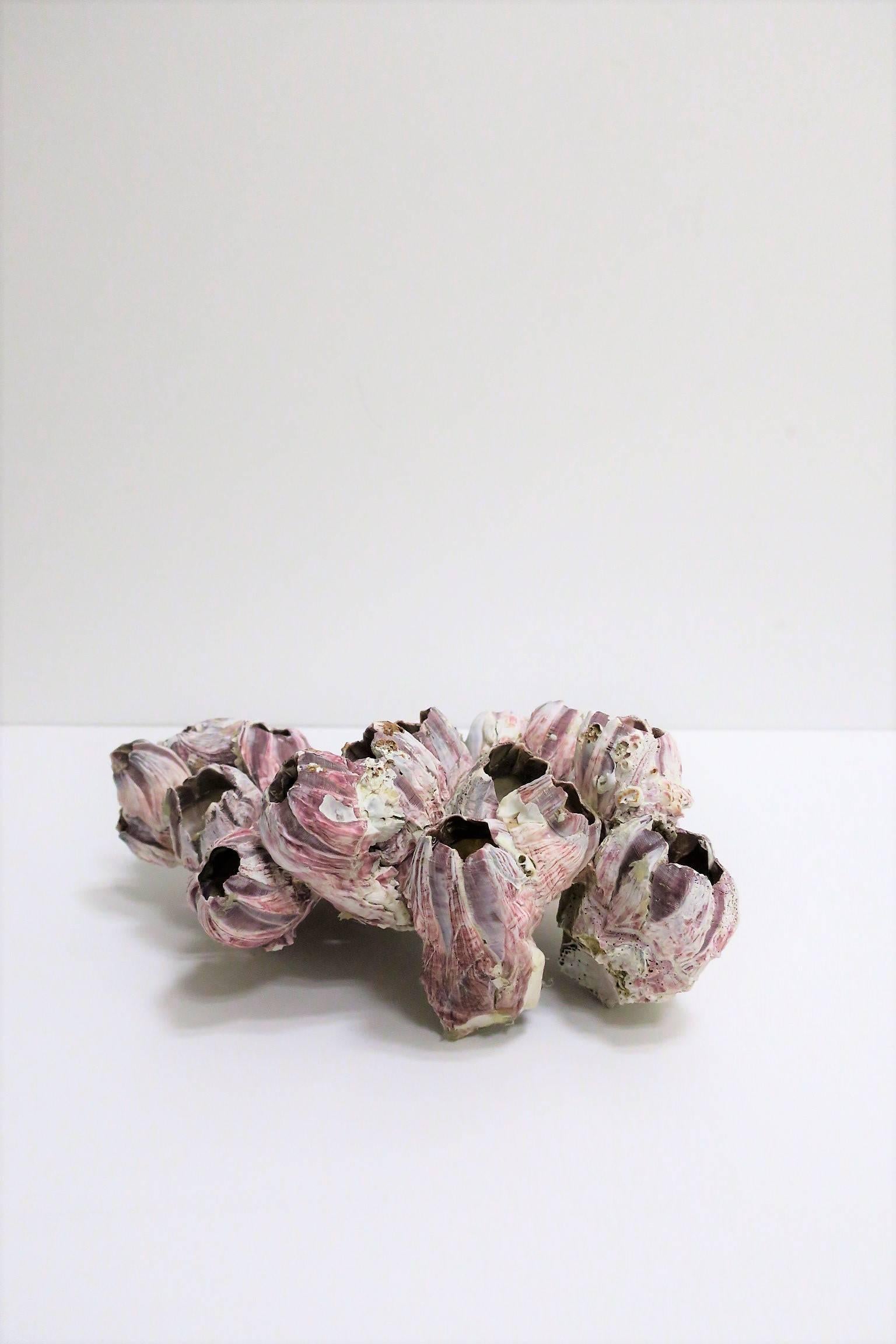 19th Century Vintage White and Purple Barnacle Coral Specimen Sculpture