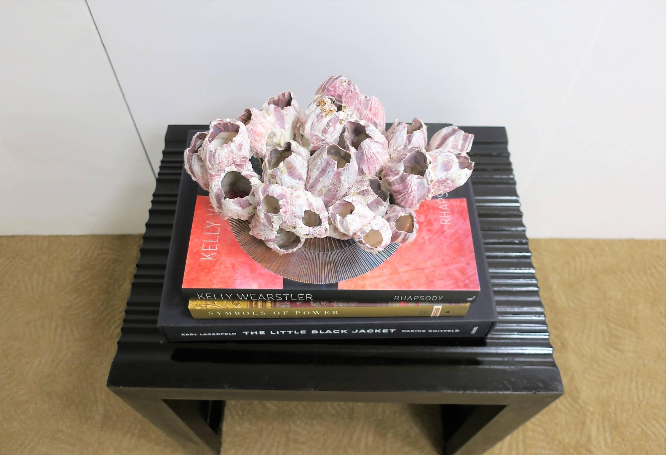 Vintage White and Purple Barnacle Coral Specimen Sculpture 3