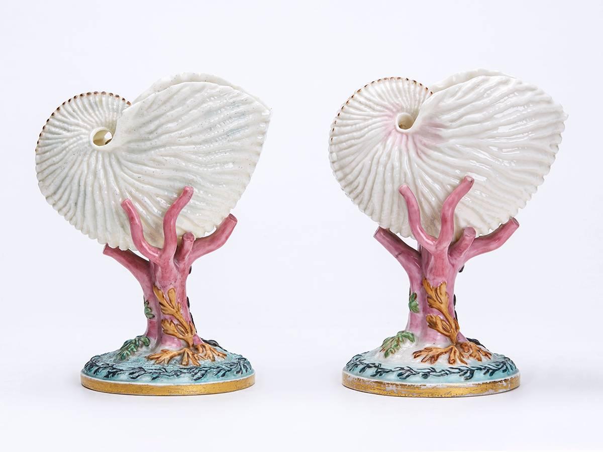 A fine and scarce pair antique Royal Worcester Nautilus vases, the body modeled as a large conch shell mounted on a coral support on a rounded base moulded with sea weed. This fine and lightly potted quality porcelain pair of vases are hand painted