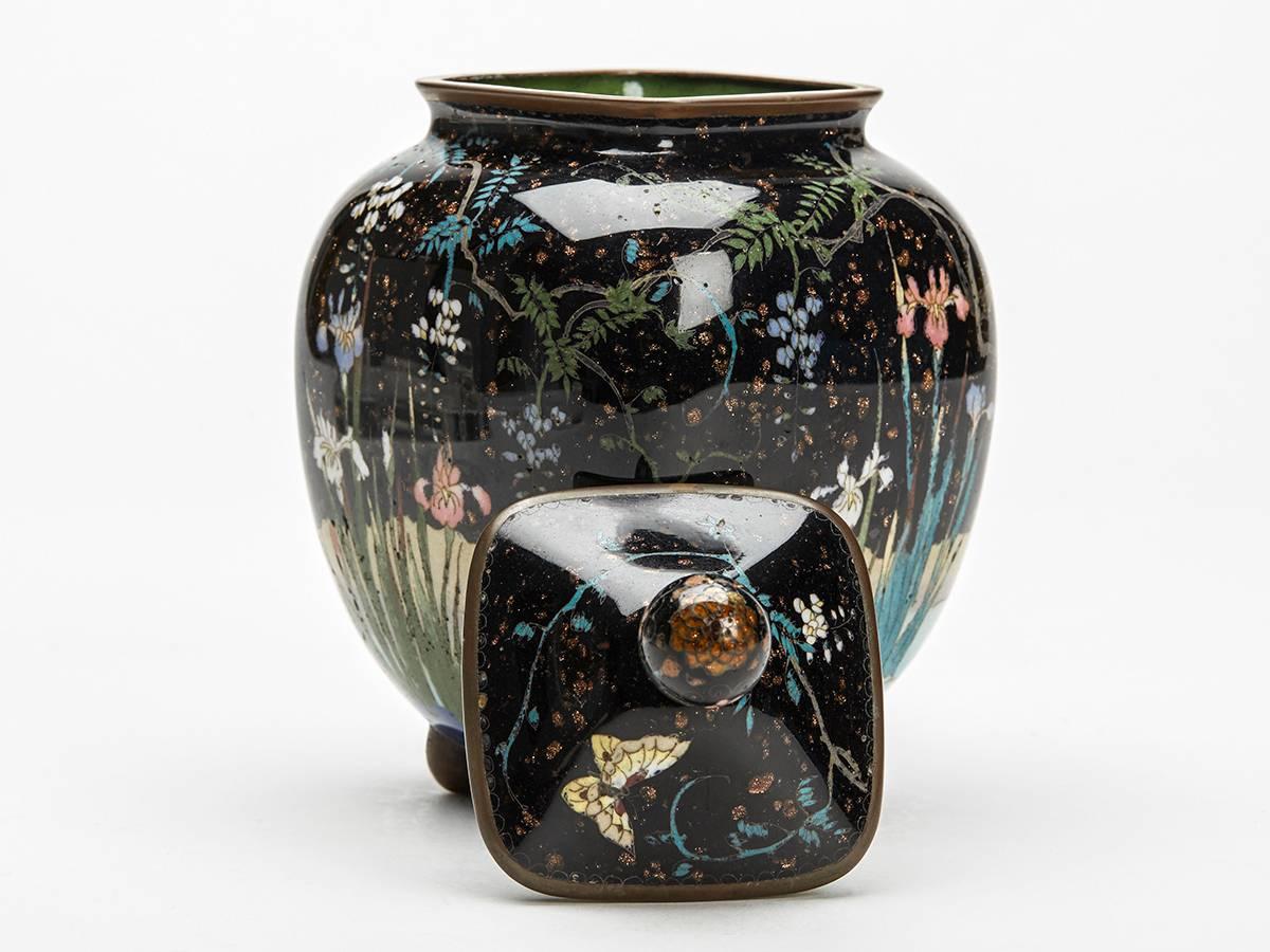 Japanese Meiji Cloisonne Lidded Jar , 19th Century 2