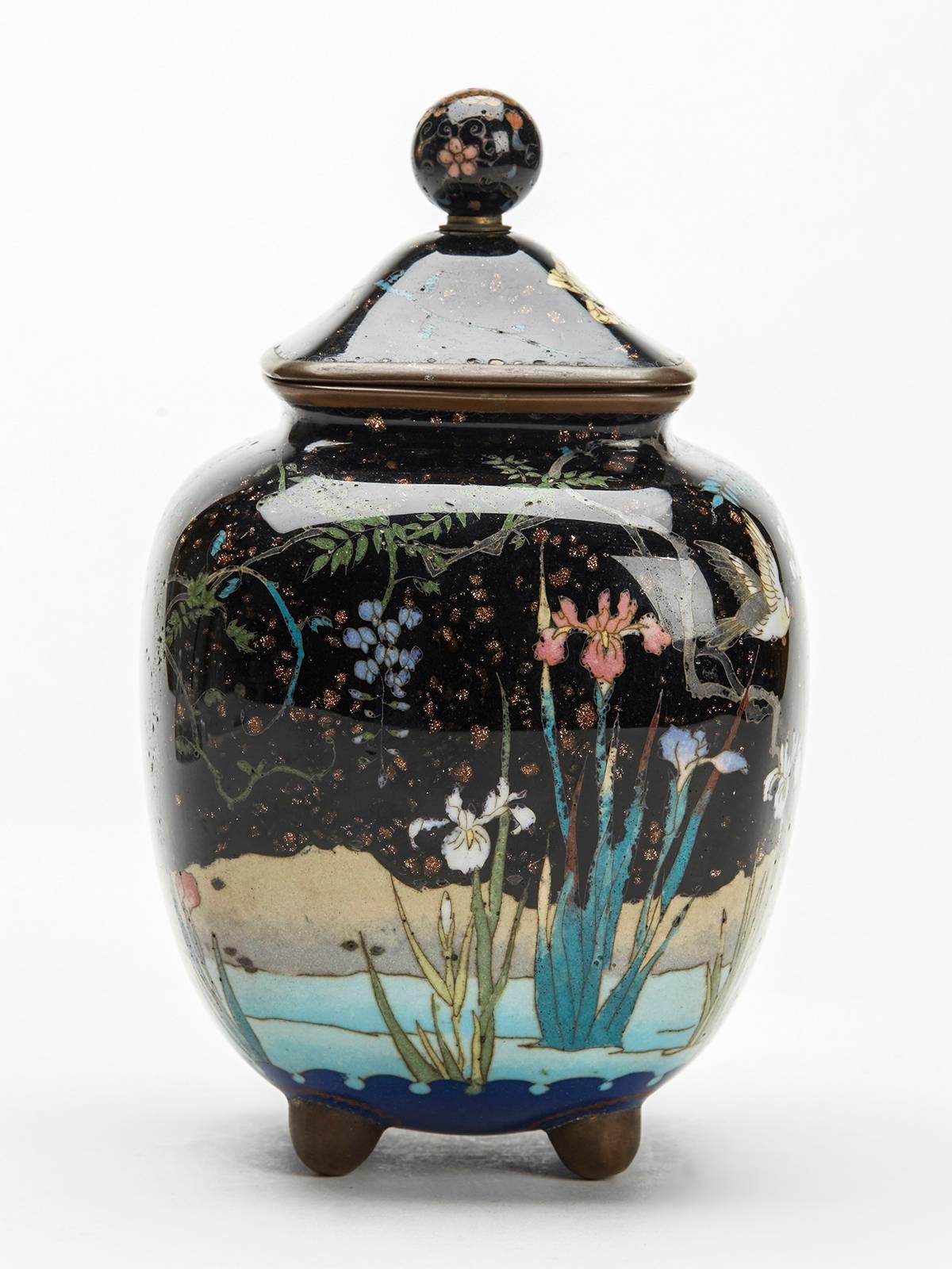 Cloissoné Japanese Meiji Cloisonne Lidded Jar , 19th Century