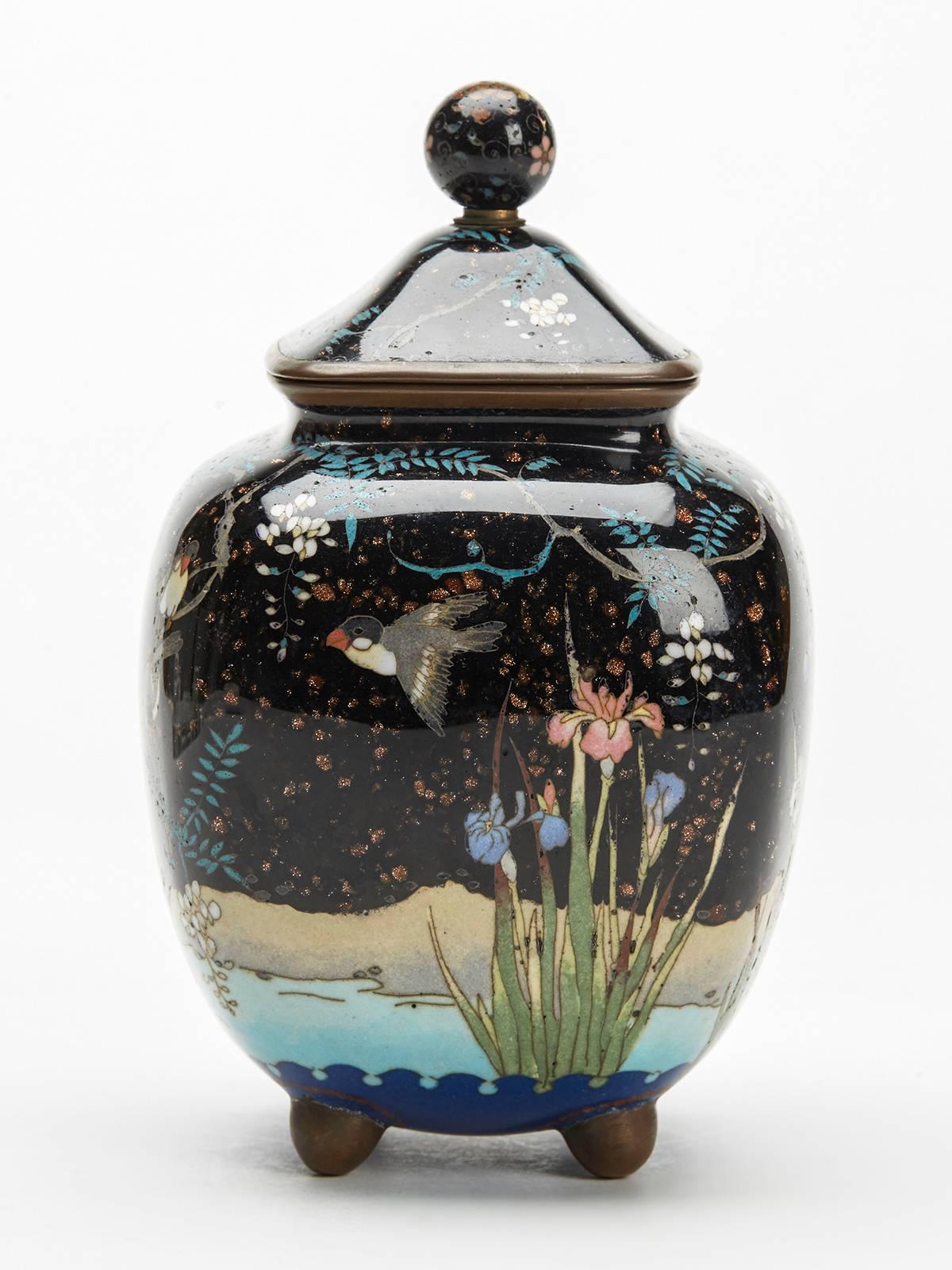 An antique Japanese lidded jar possibly a koro or tea caddy decorated with birds and wisteria alongside a pond dating from the Meiji period and 19th century. The body of the jar is decorated with birds set amidst flowering wisteria alongside a pond