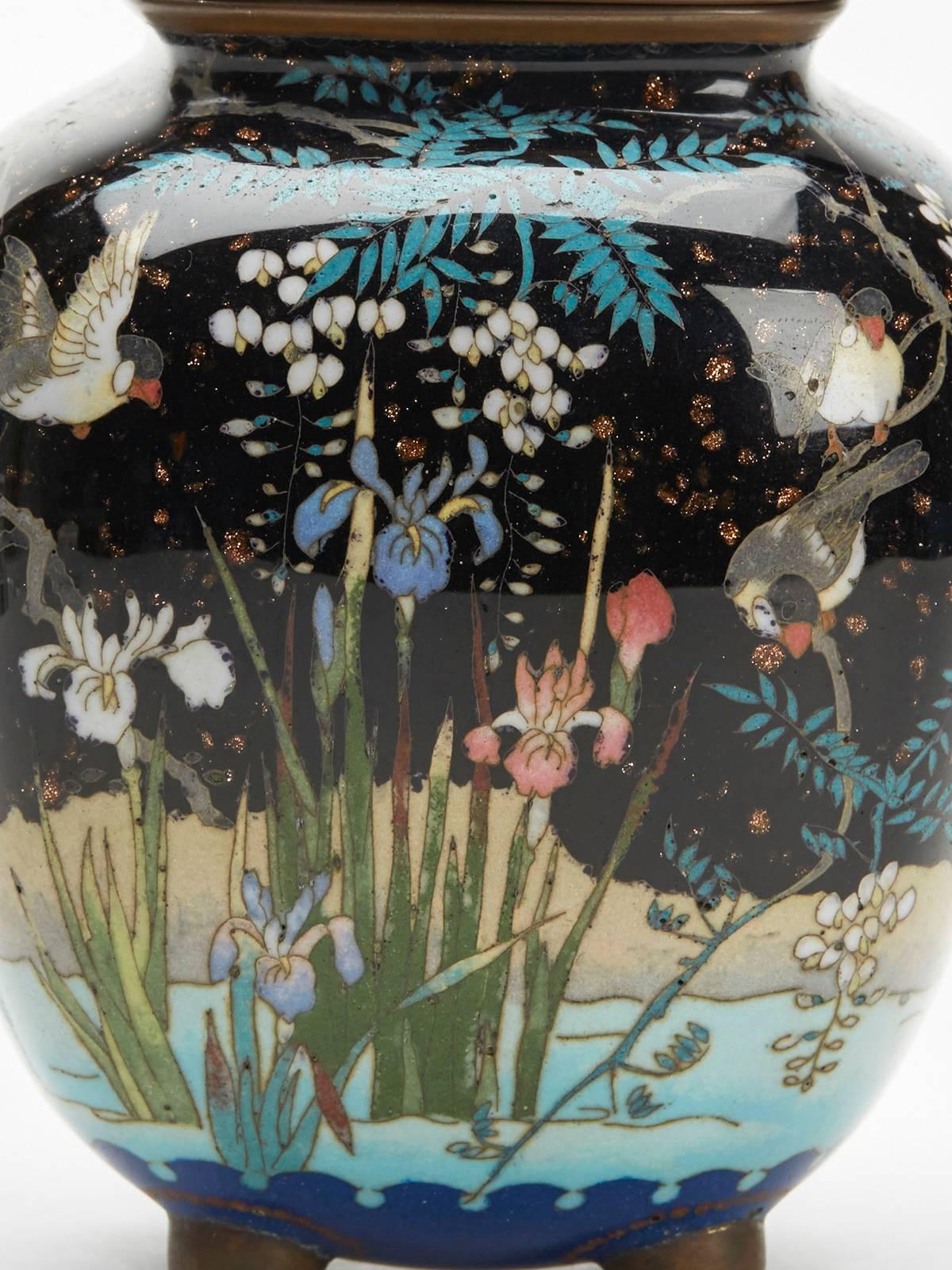 Japanese Meiji Cloisonne Lidded Jar , 19th Century 5
