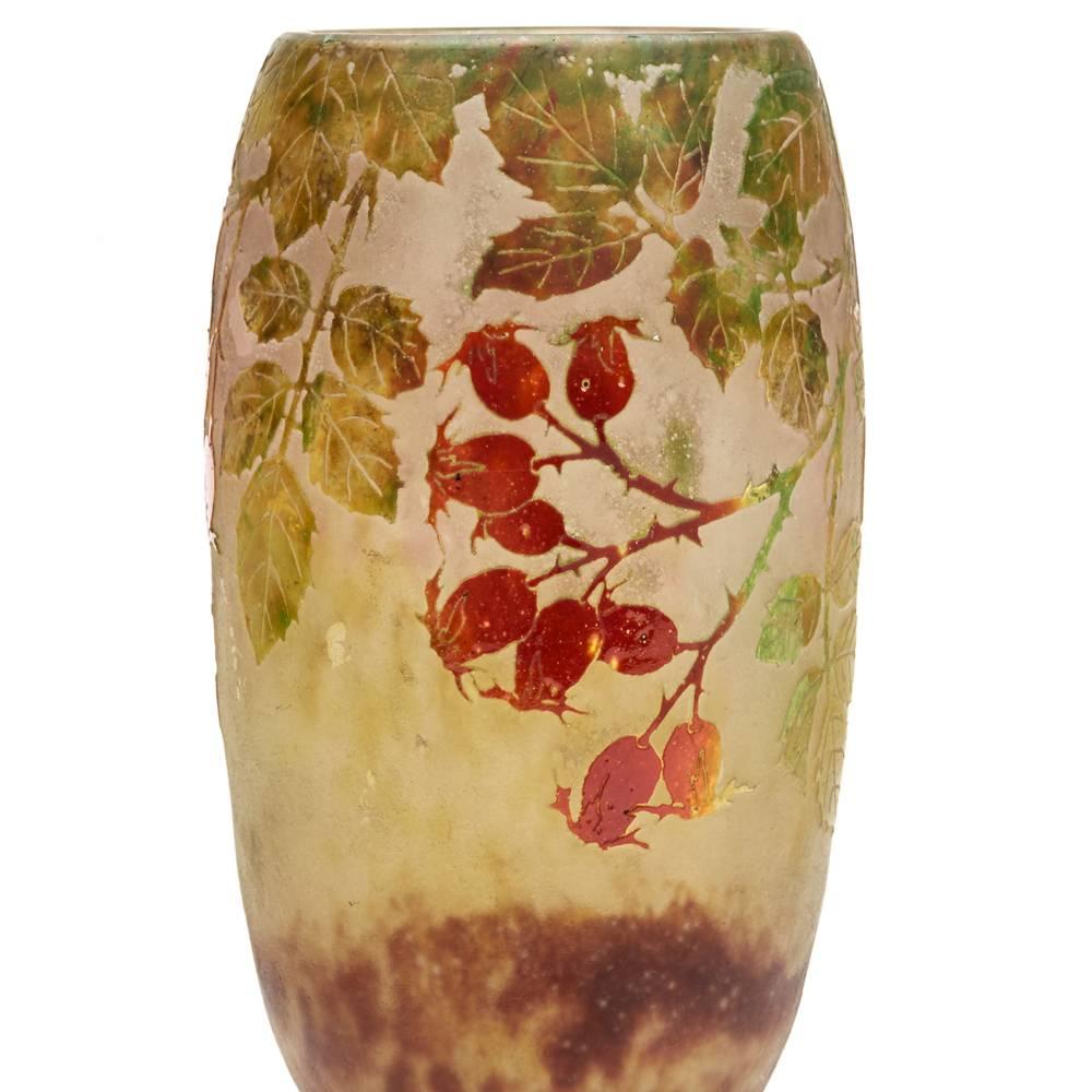 French Daum Nancy Art Nouveau Rosehip Cameo Glass Vase, circa 1900 For Sale