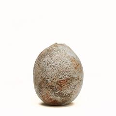 Alan Wallwork British Studio Pottery Forma de vaina doble