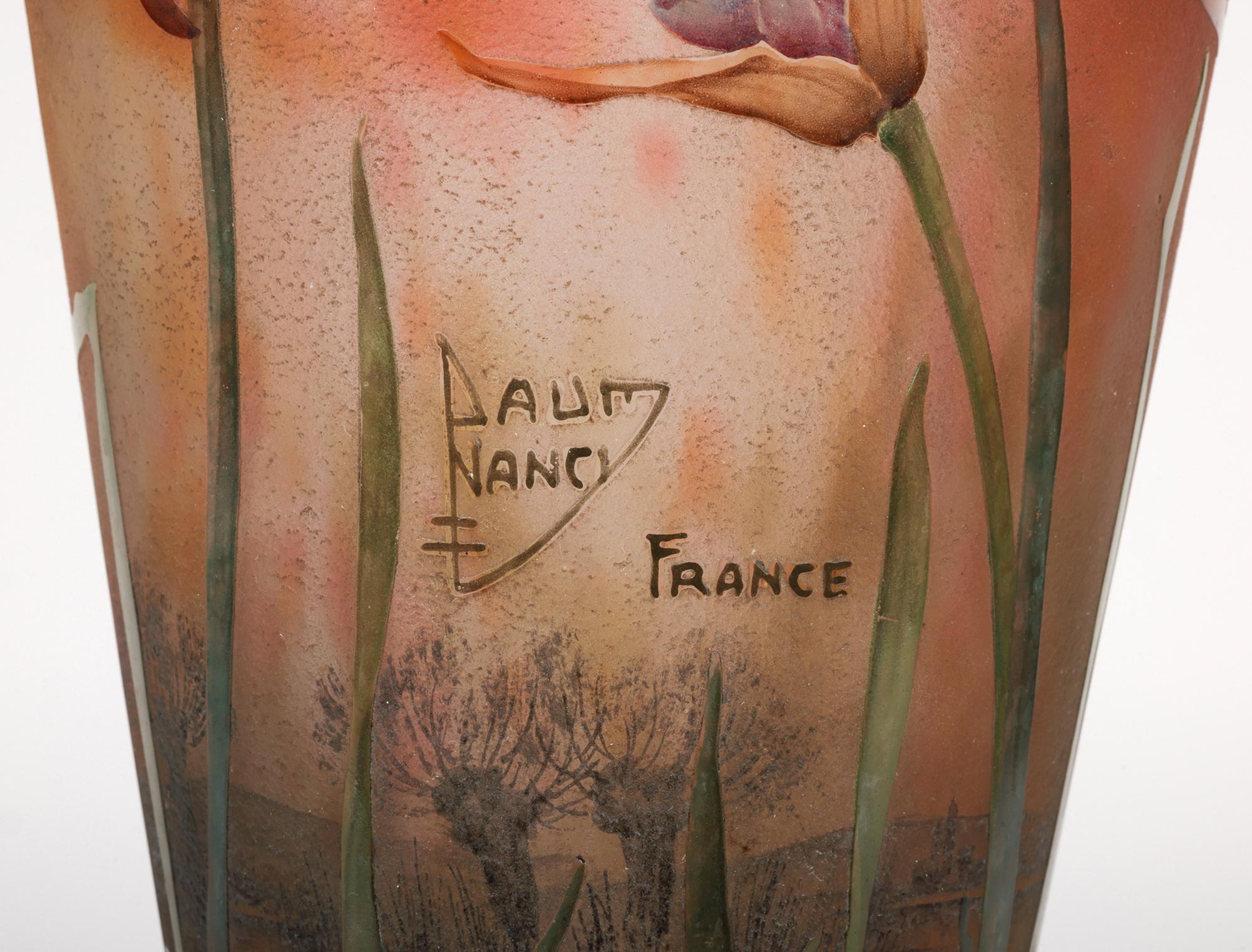 Daum Grand Vase en verre d'art Art Nouveau Agapanthe Camée Gravé à l'Acide en vente 11