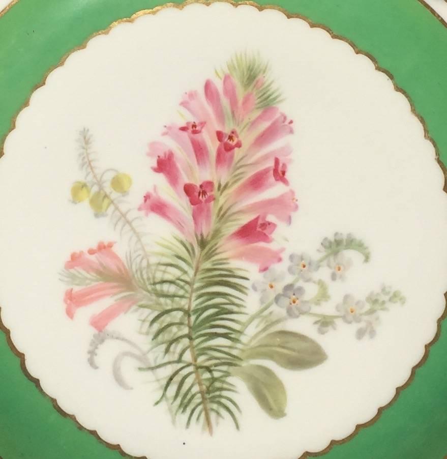 Hand-Painted Floral Porcelain Plates 