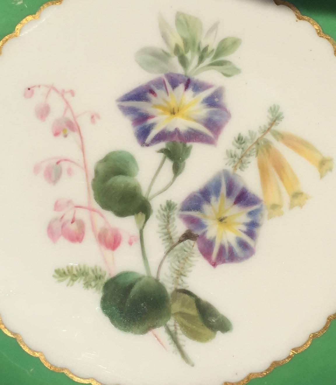 Floral Porcelain Plates  In Good Condition In New Haven, CT