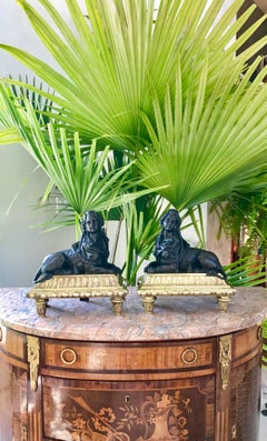 Louis XV Bronze Chenets