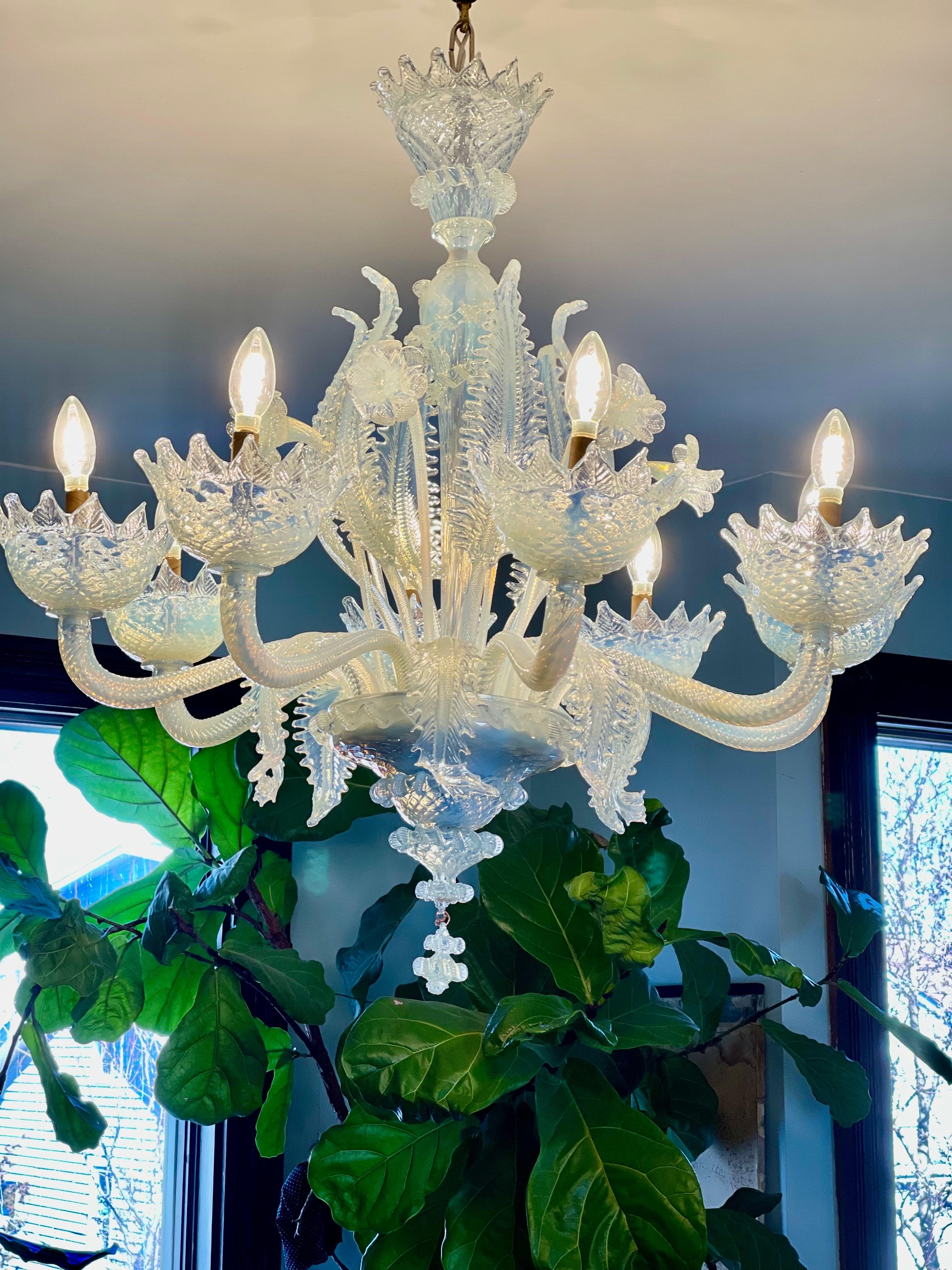 This Murano Chandelier in a very rare light blue opaline Glass comes with 8 Arms. It was hand made in Murano Italy ca 1940. The color shown in all the Images is accurate.
In all my years as an Antique Dealer I have not seen such an unusual color.  