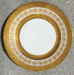 12 Dinner Plates by Limoges