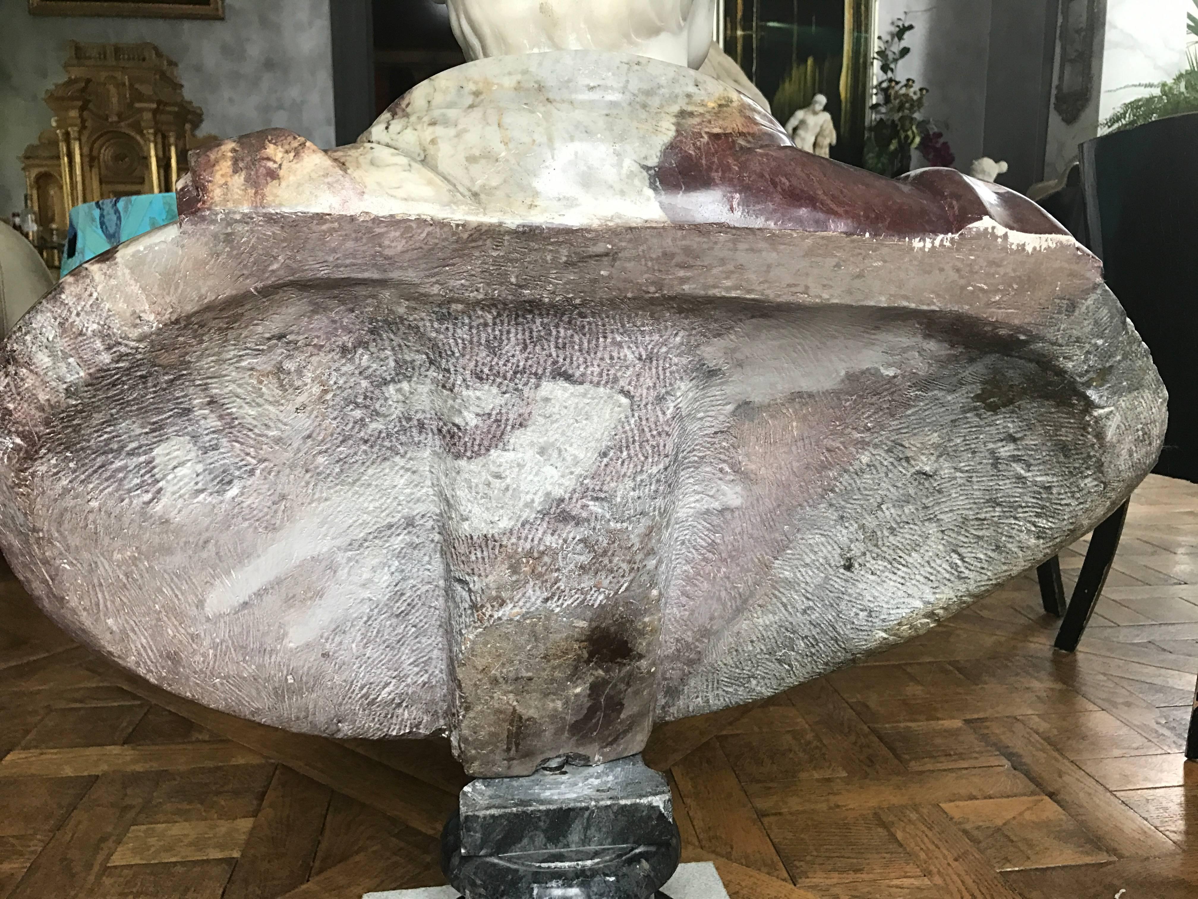 Hand-Carved Marble Bust of Caesar For Sale