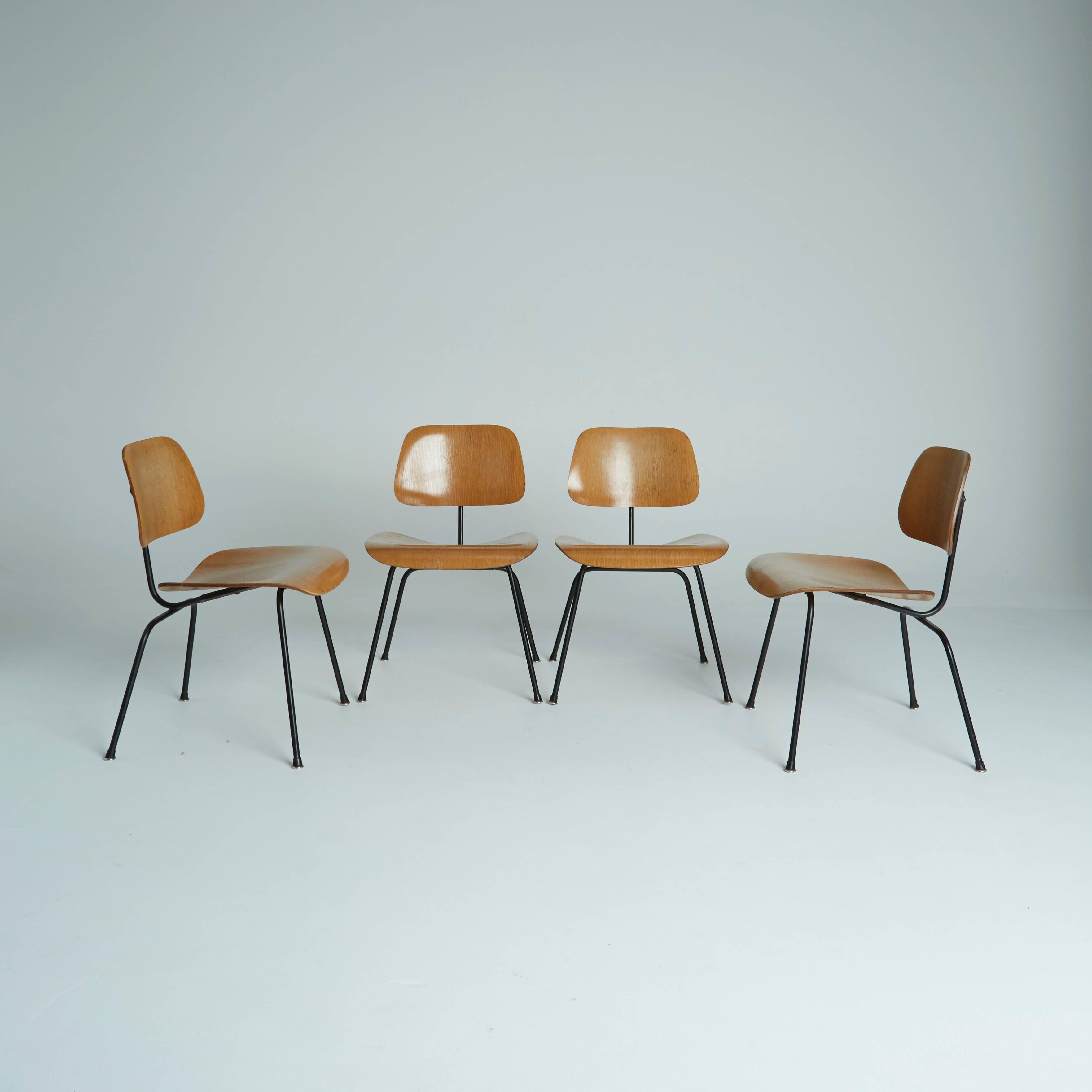 As with all of Ray and Charles Eames designs, these oak DCM chairs are iconic, sleek and incredibly well designed. The combed-grain oak gives the molded wood panels an exceptional texture and is in stylish contrast to the dark steel frames. Designed