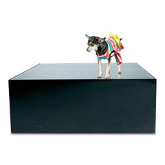 Neon Sculpture Cocktail Table by Rudi Stern for Let There Be Neon, circa 1976